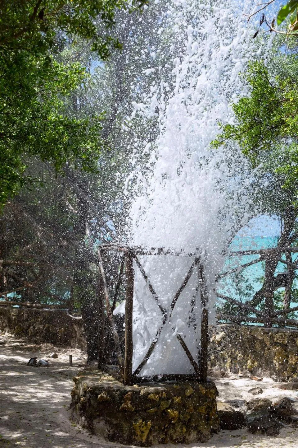 Natural landscape in The Island - Pongwe Lodge