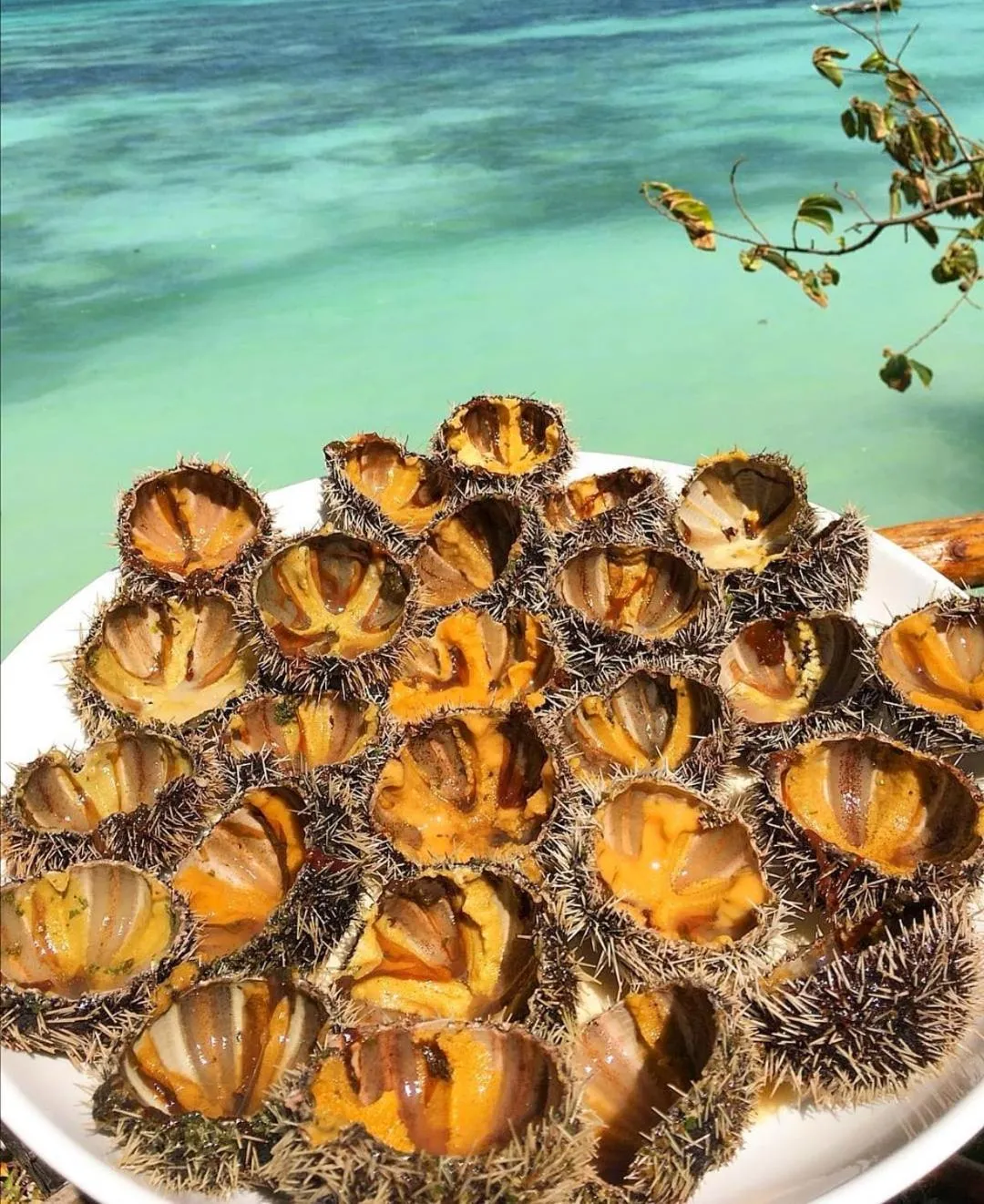 Food close-up in The Island - Pongwe Lodge