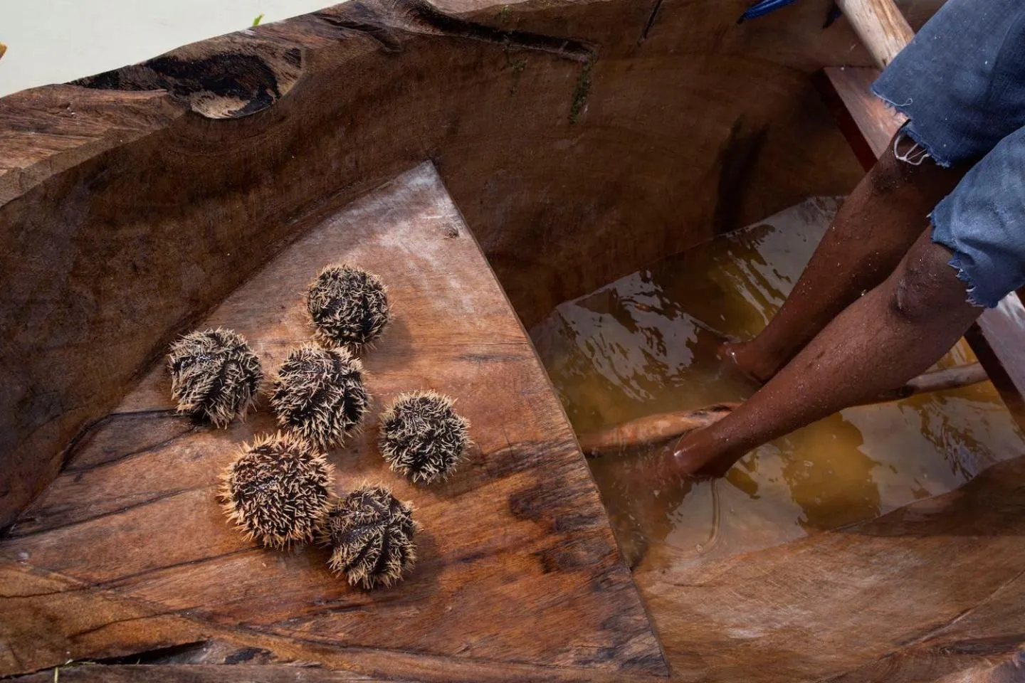 Fishing in The Island - Pongwe Lodge