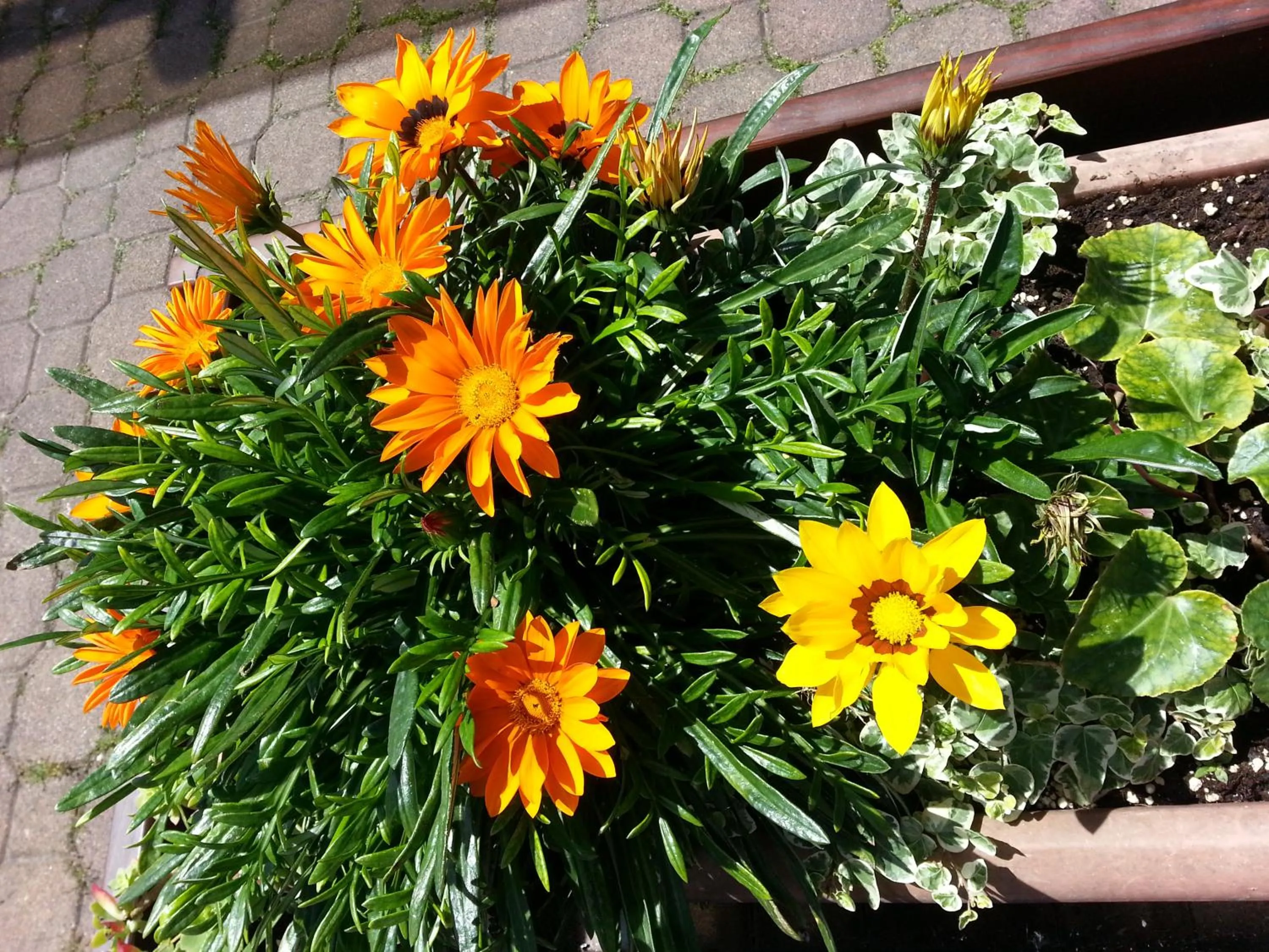 Decorative detail in Albergo Carla