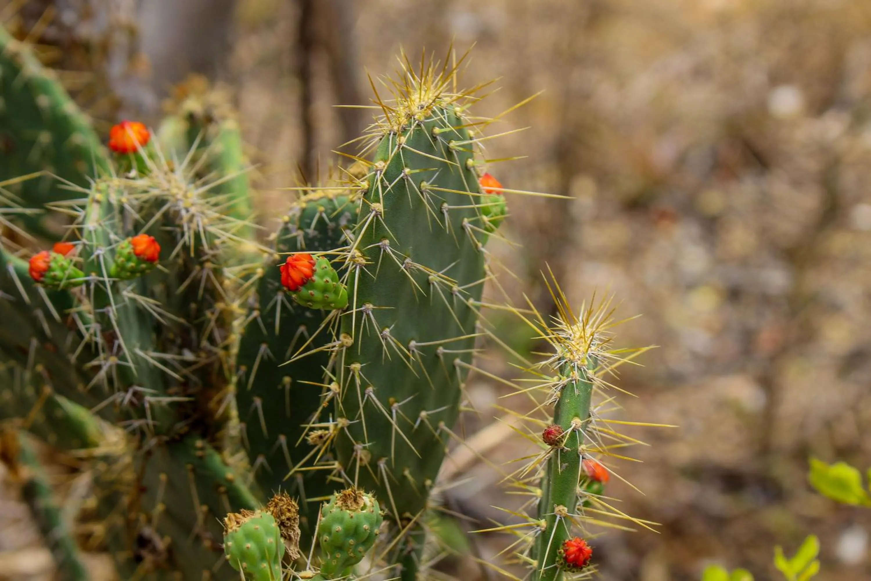 Nearby landmark in Bristol Aline Alagoas