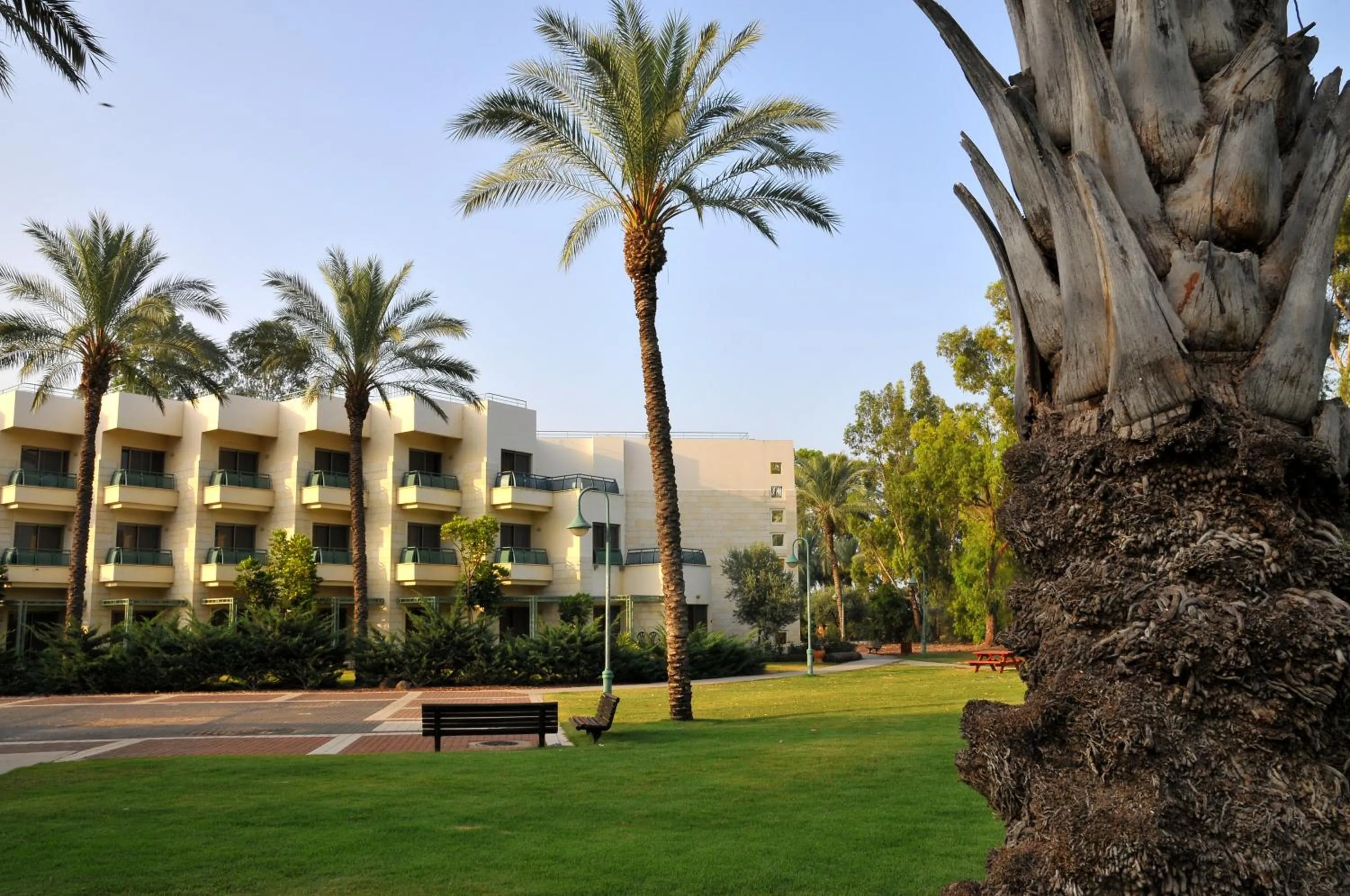 Property building in Kinar Galilee