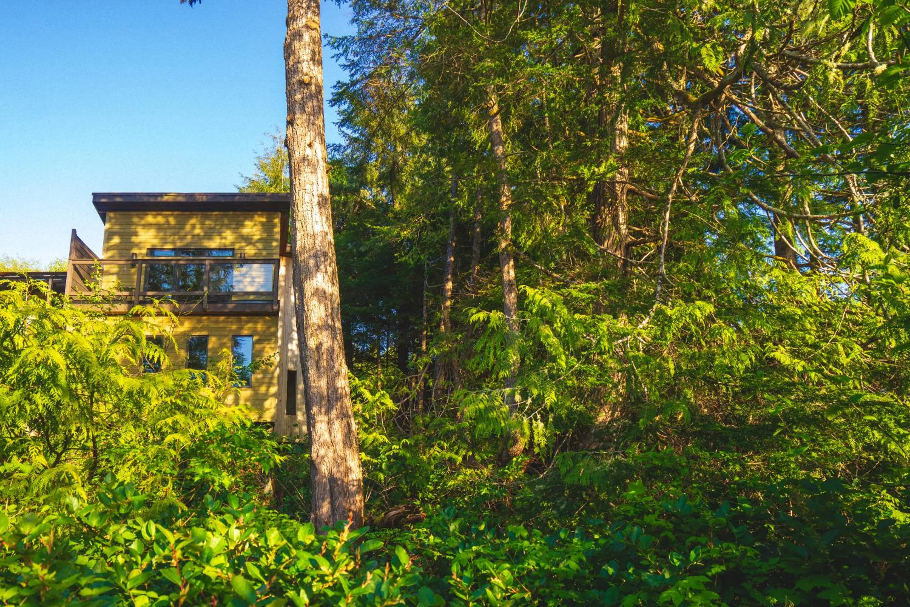 Property building in Hyphocus Inn