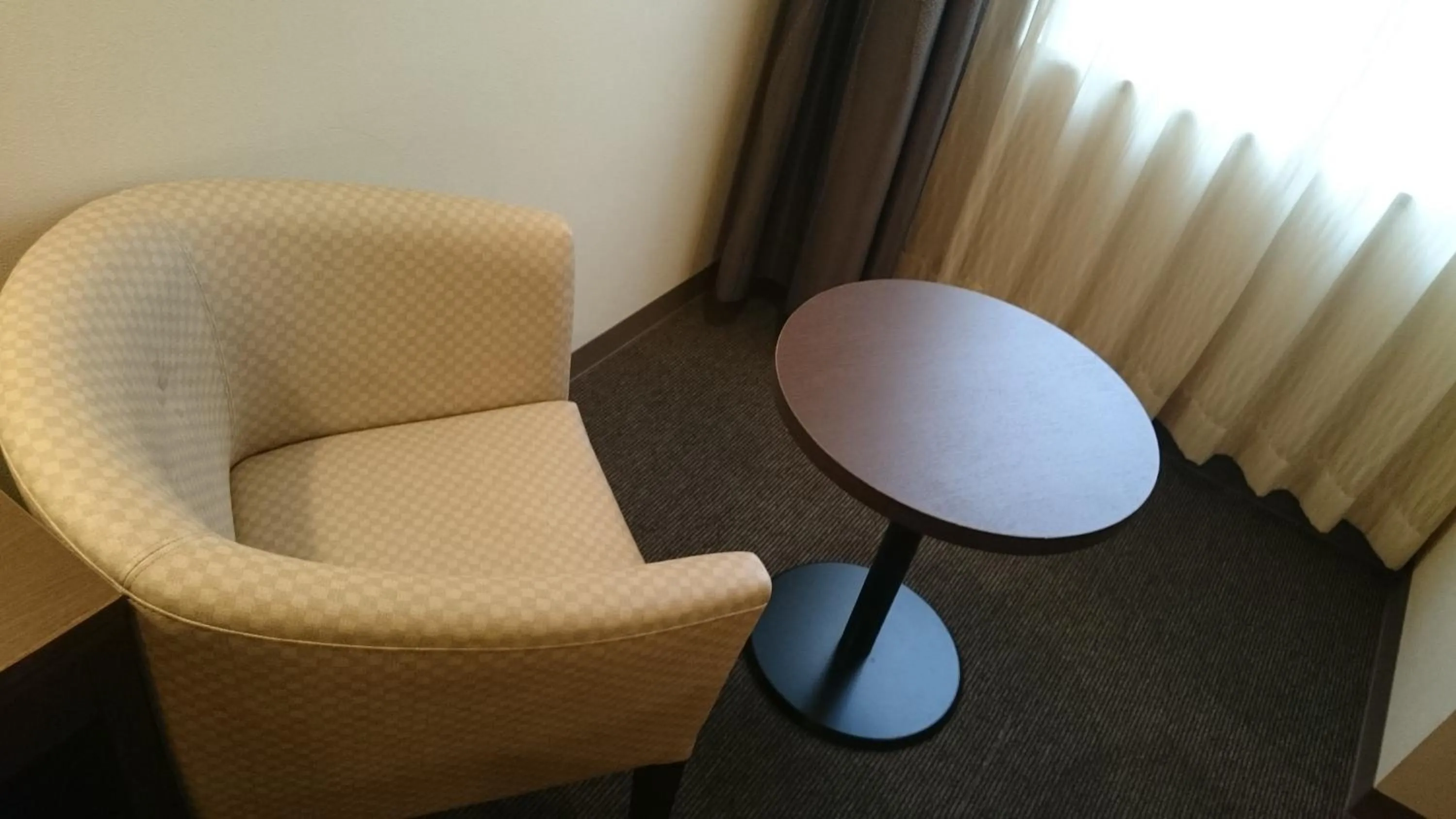 Hotel Ascent Plaza Hamamatsu