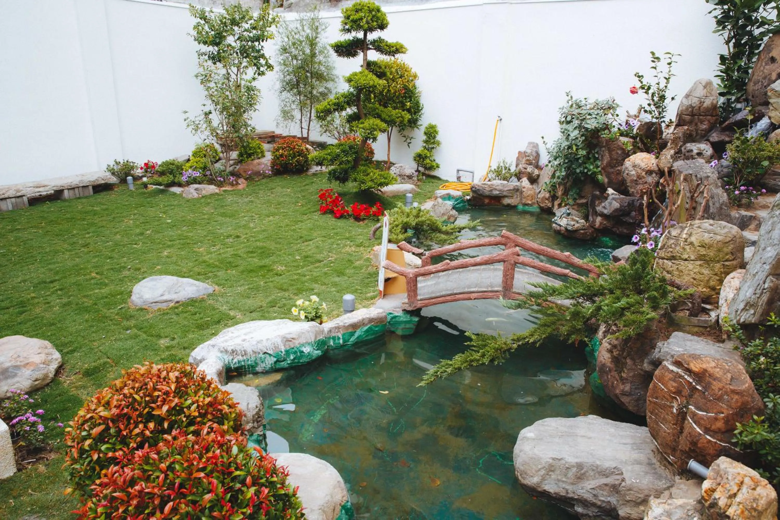 Garden in Gh House