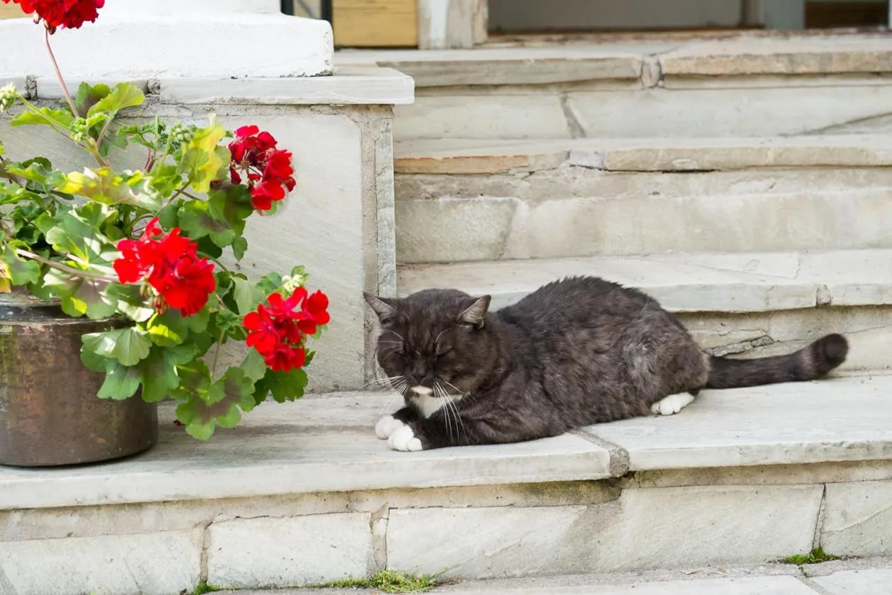 Decorative detail in Koivulan Kartano