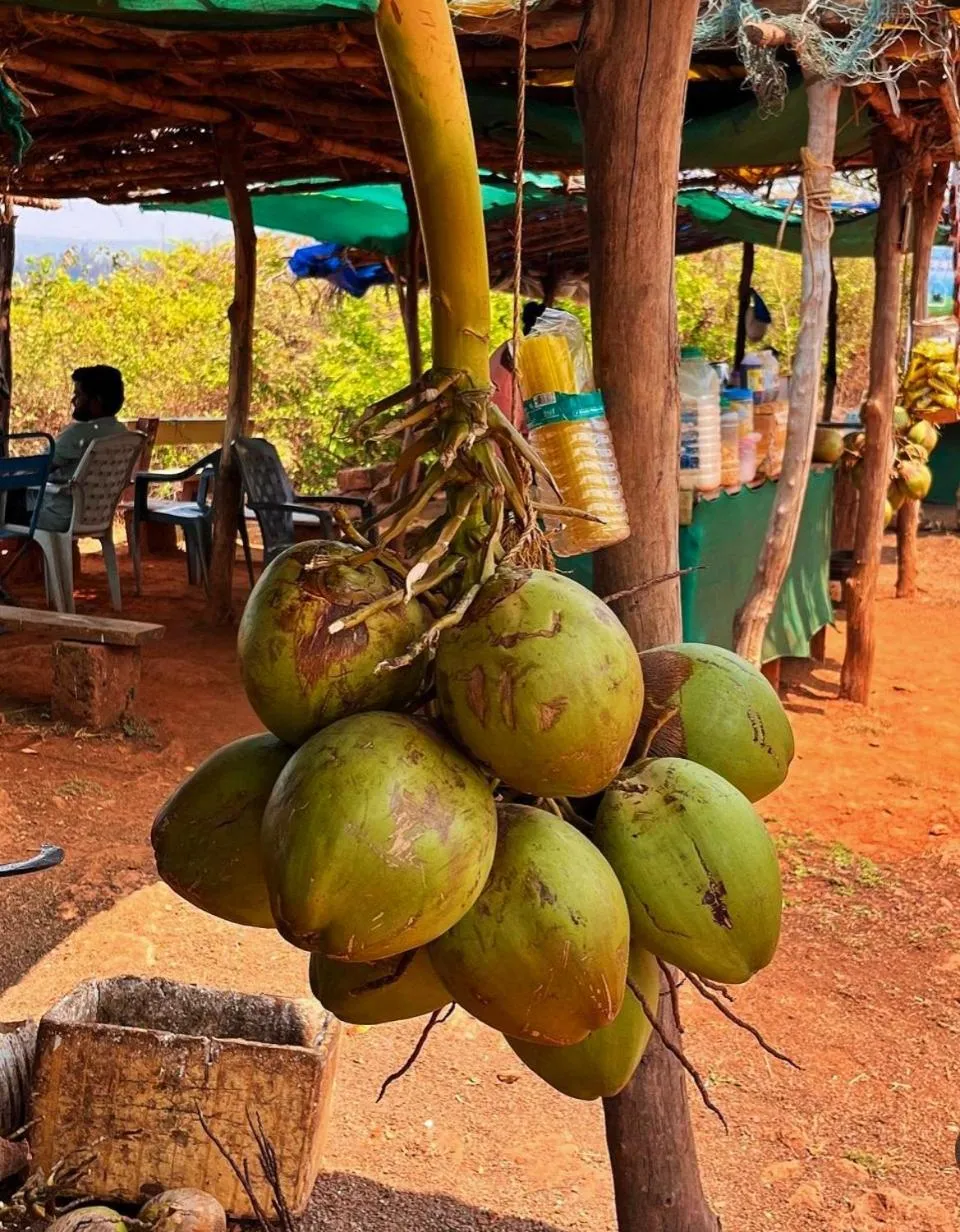 Food and drinks in Hotel Grand Ganesha