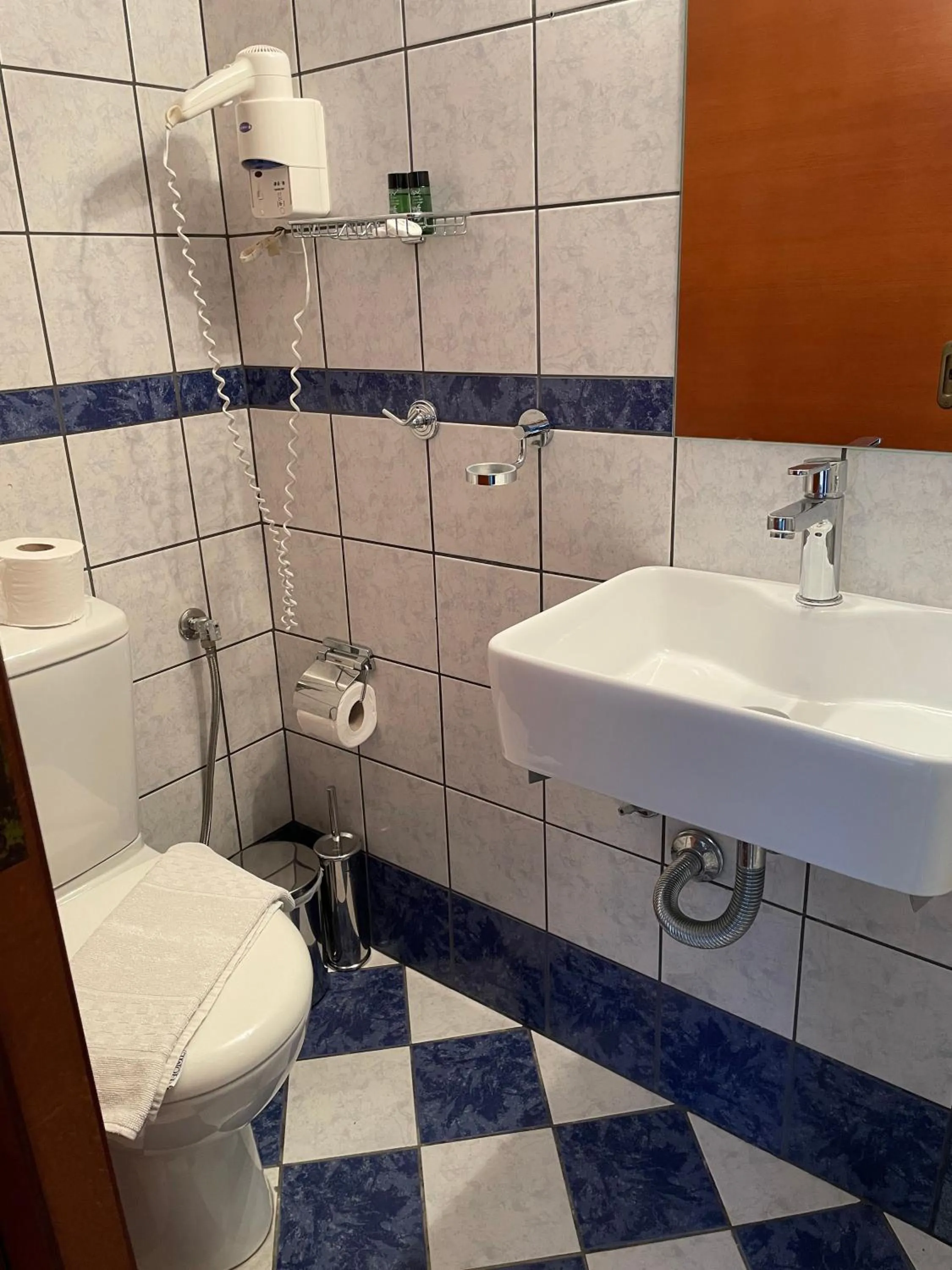 Toilet in Kamelia & Semeli Hotel