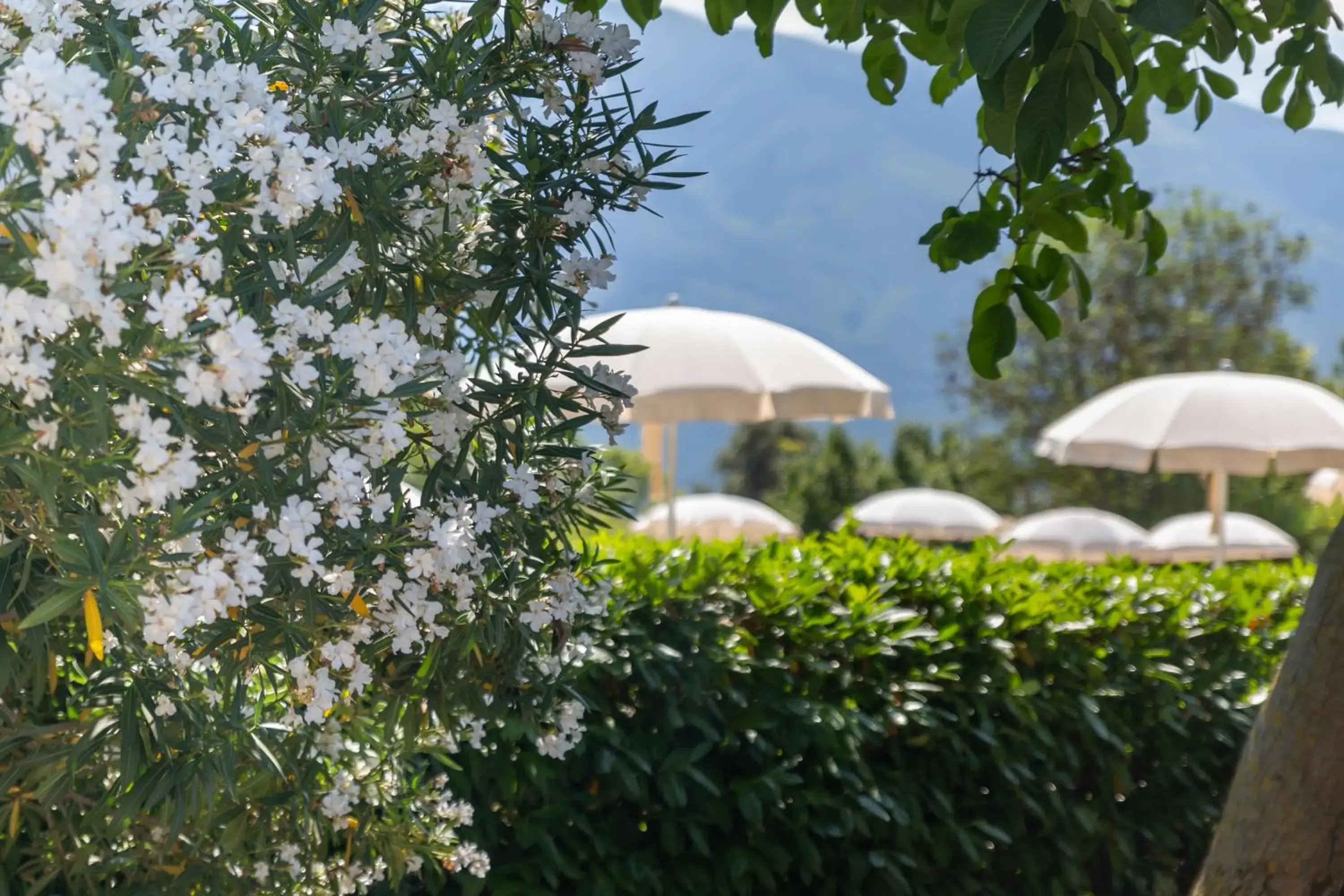 Garden in Park Hotel Zanzanù