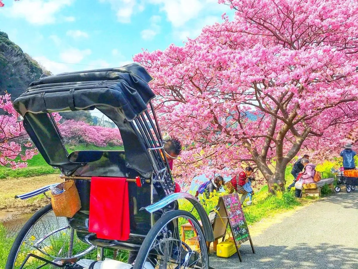 Nearby landmark in Shimoda Yamatokan