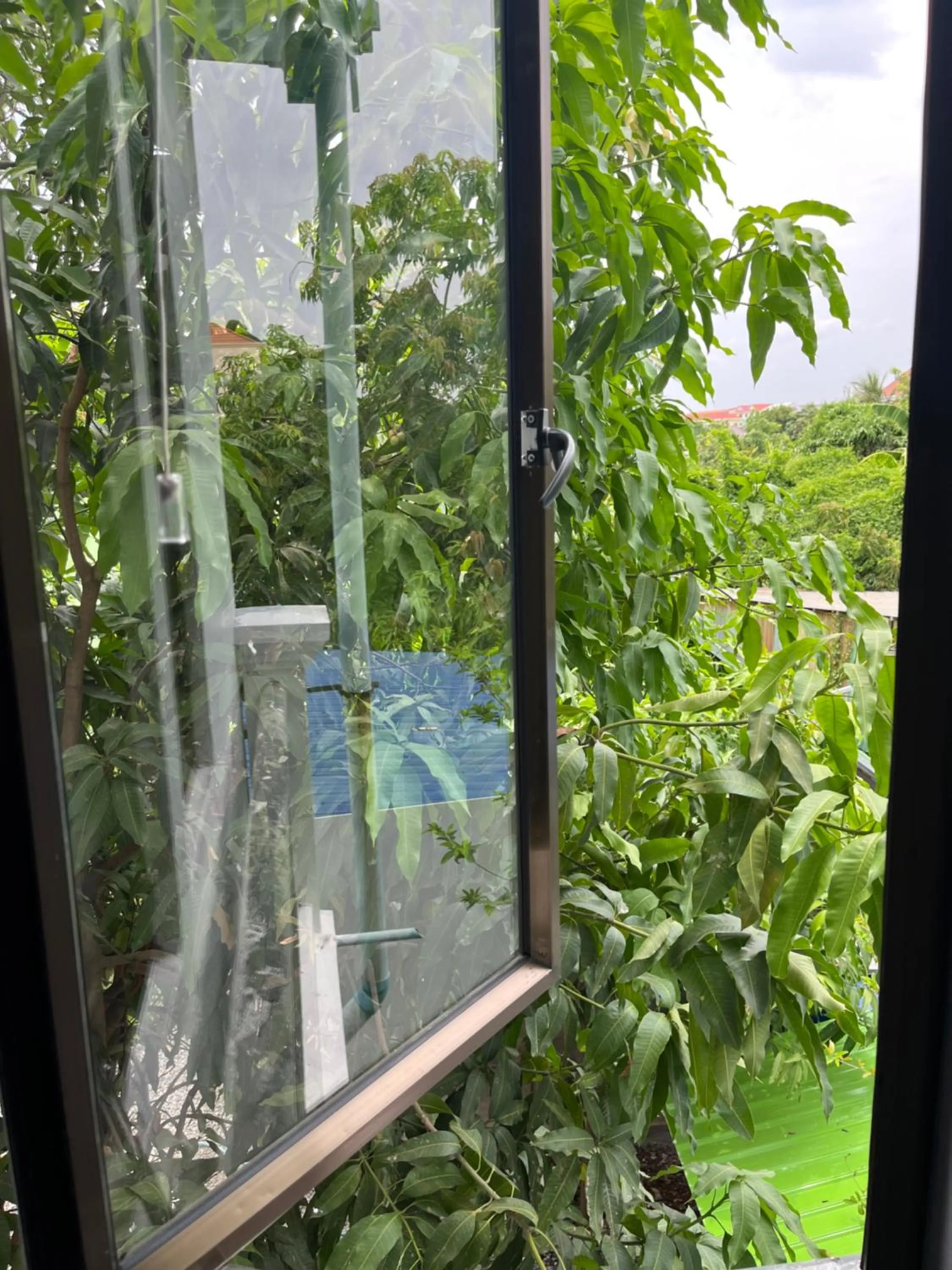 Garden view in Por Chey