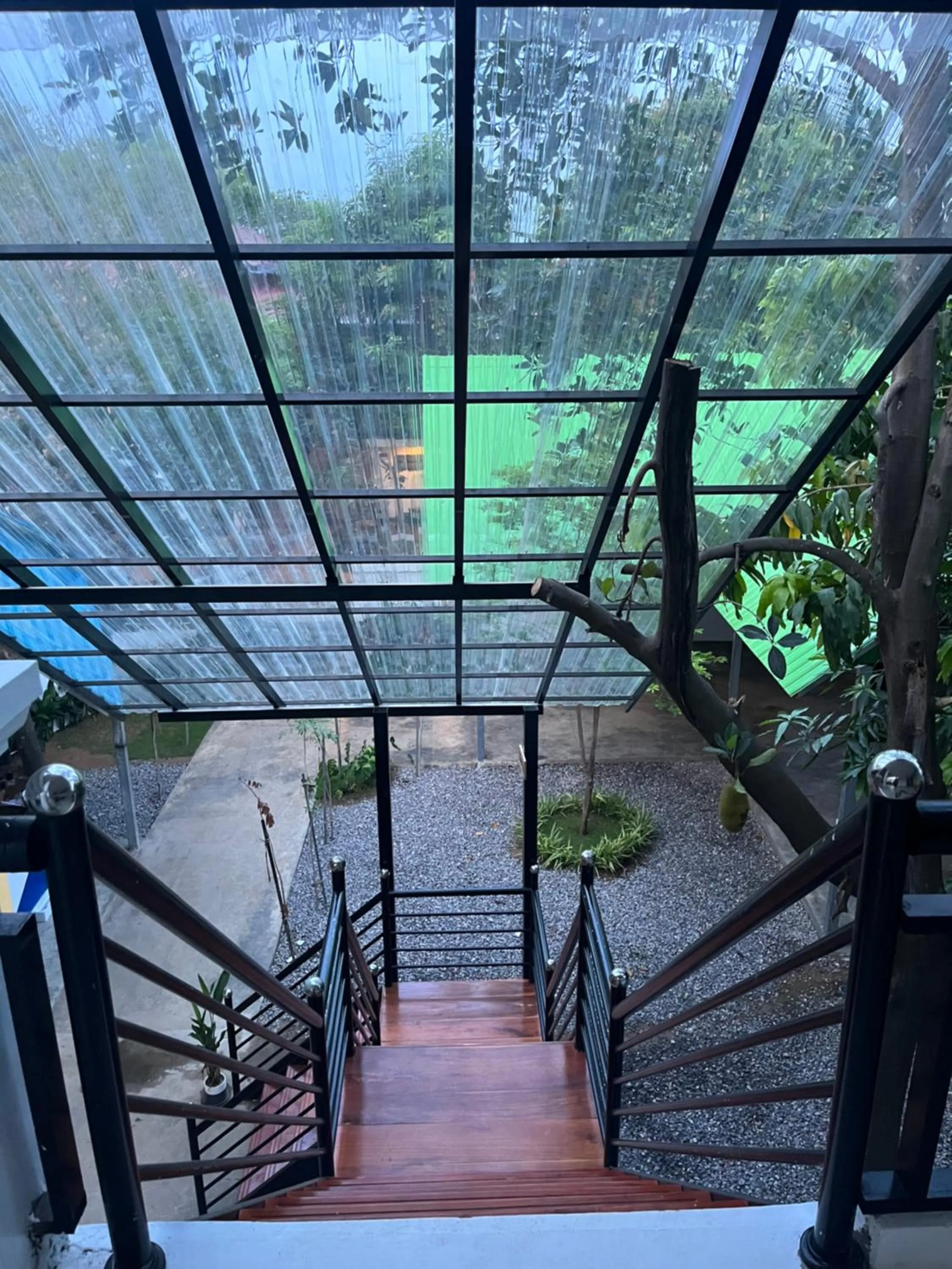 View (from property/room) in Por Chey