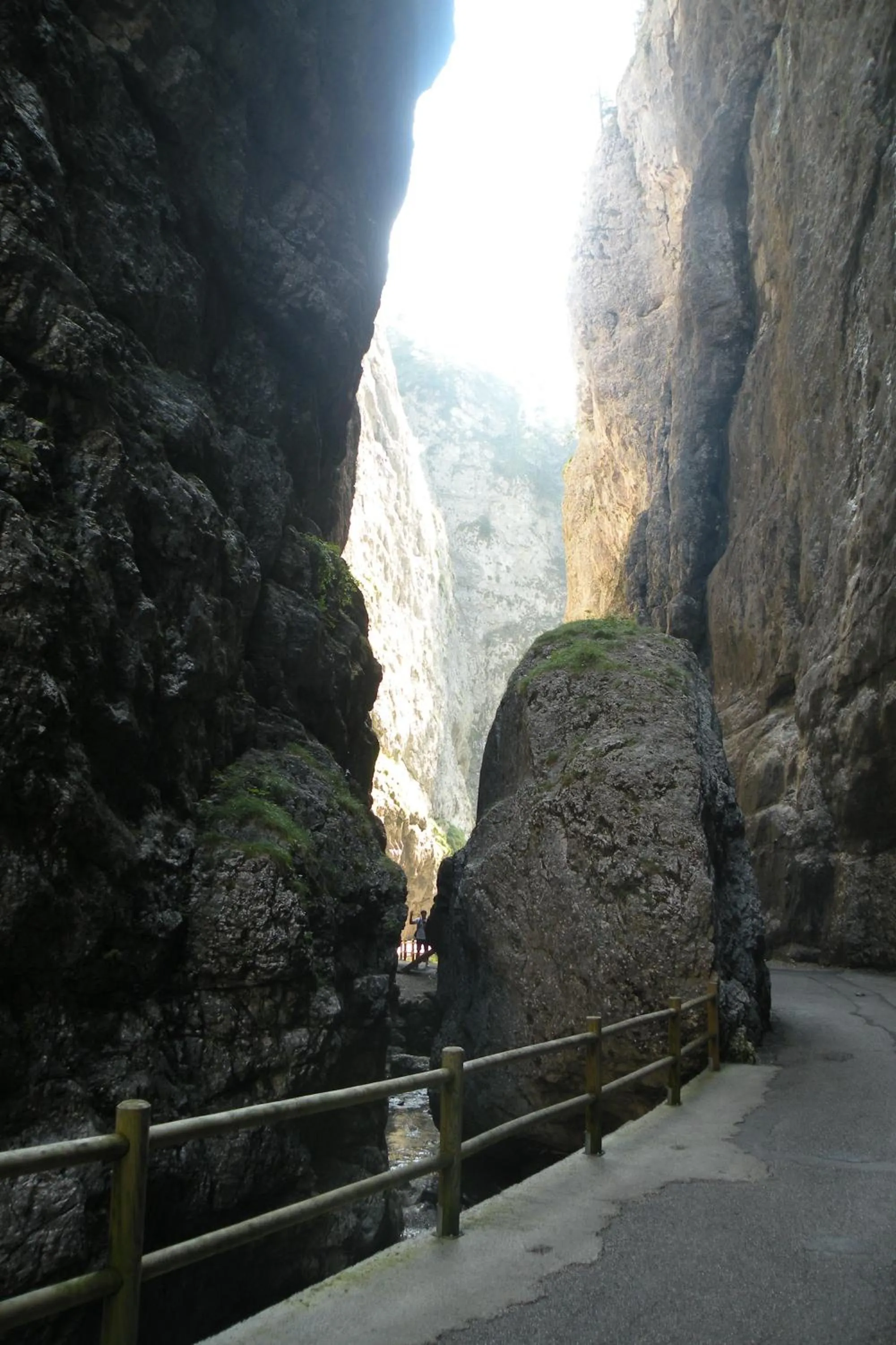 Area and facilities in Pineta Pastry Hotel