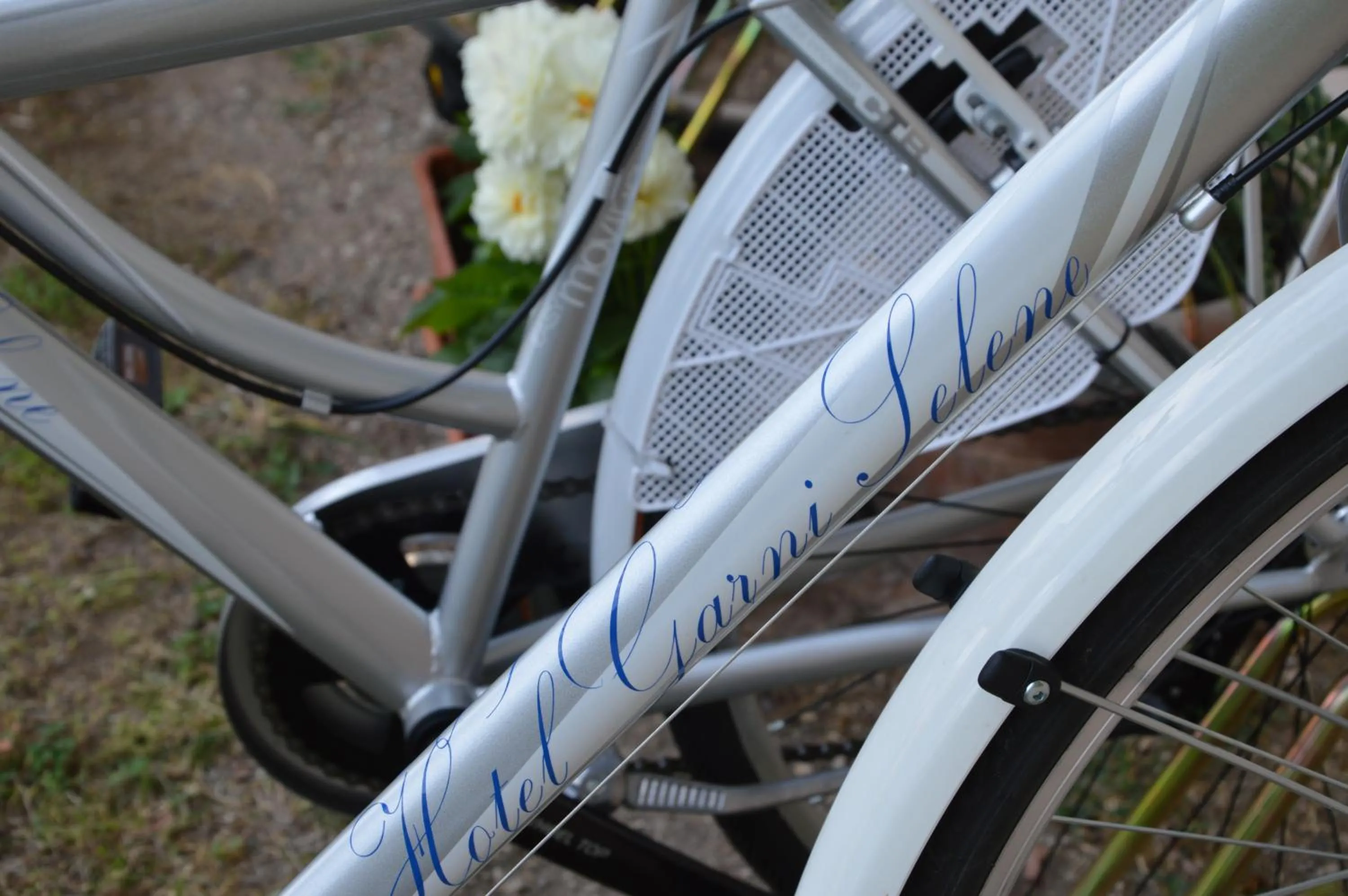 Cycling in Hotel Garni Selene