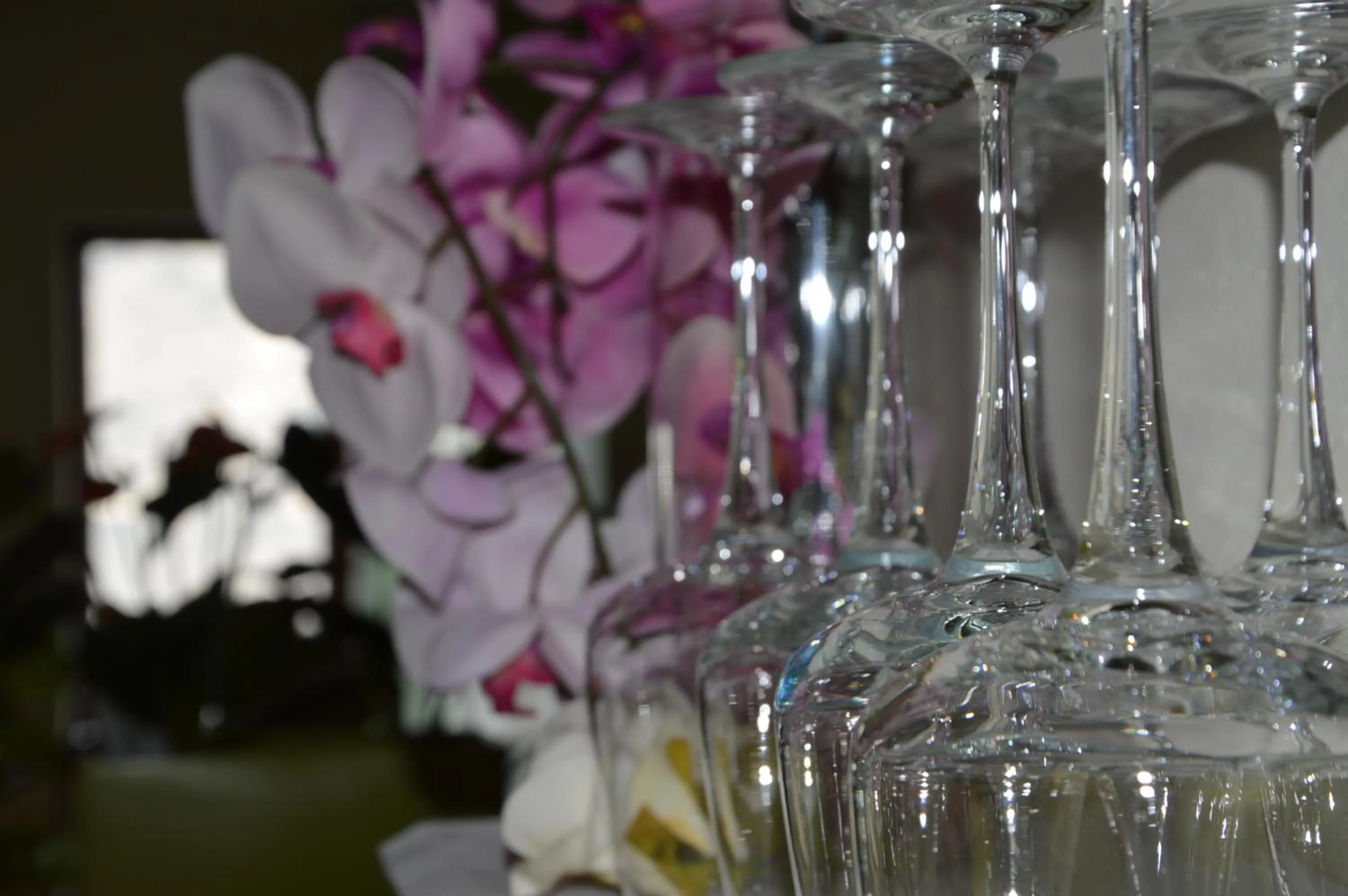 Lounge or bar in Hotel Garni Selene