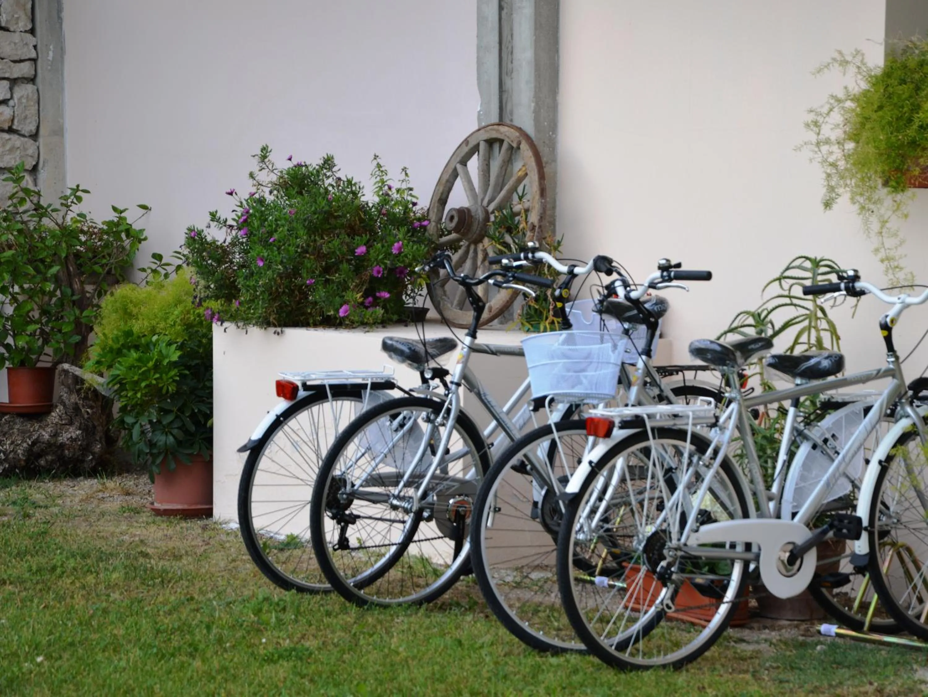 Cycling in Hotel Garni Selene