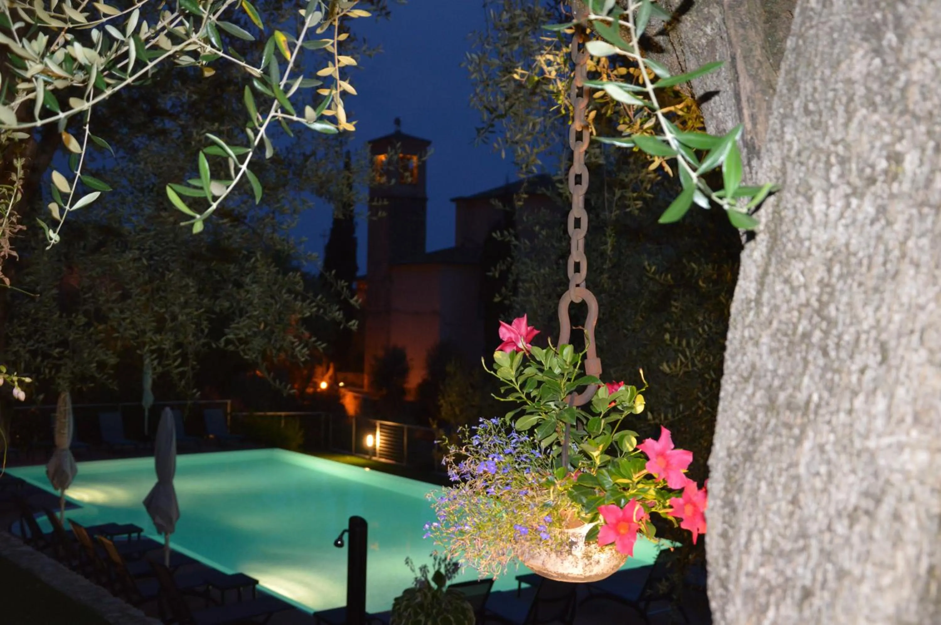 Swimming pool in Hotel Garni Selene