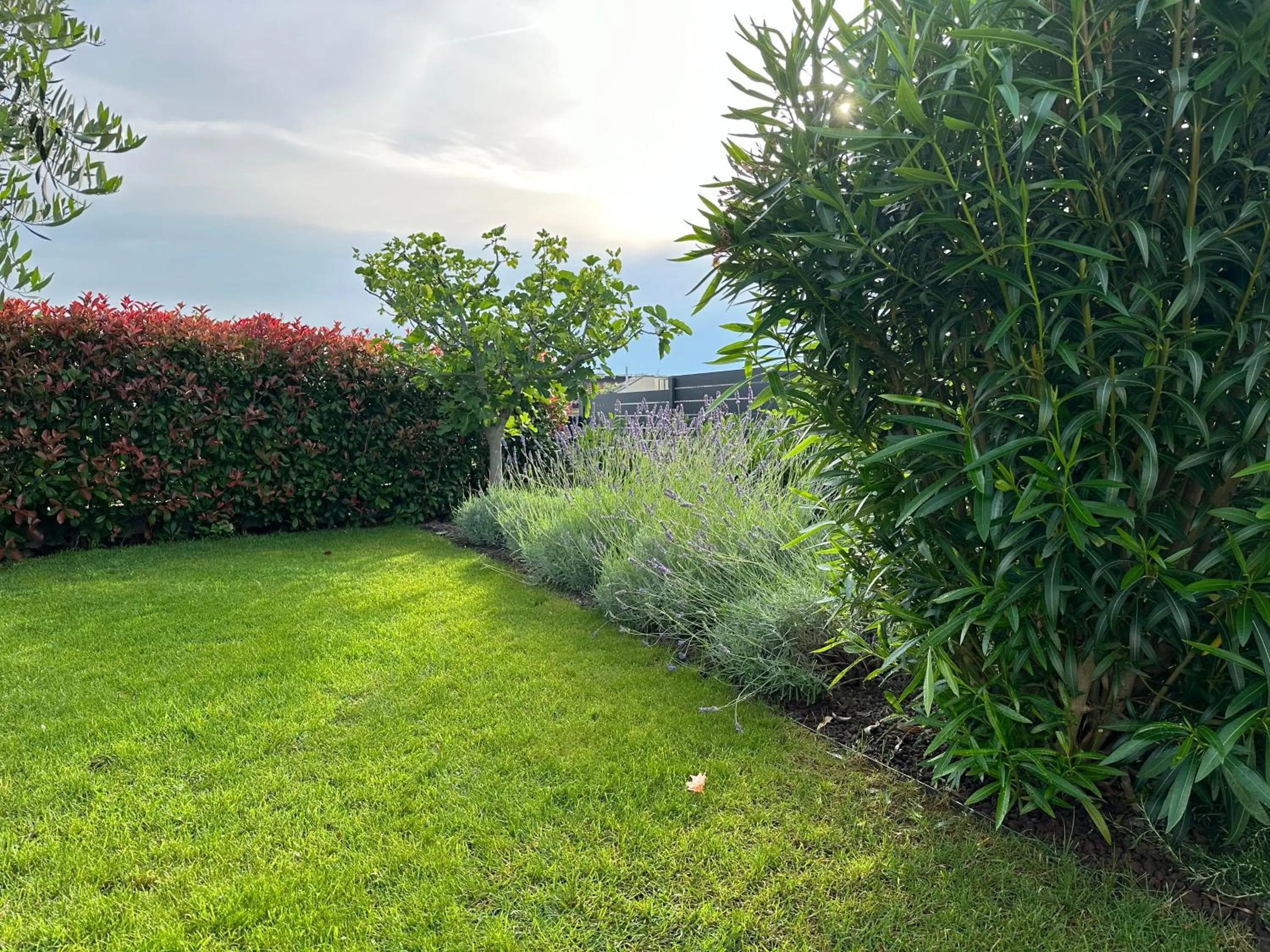 Garden in Casa Bella