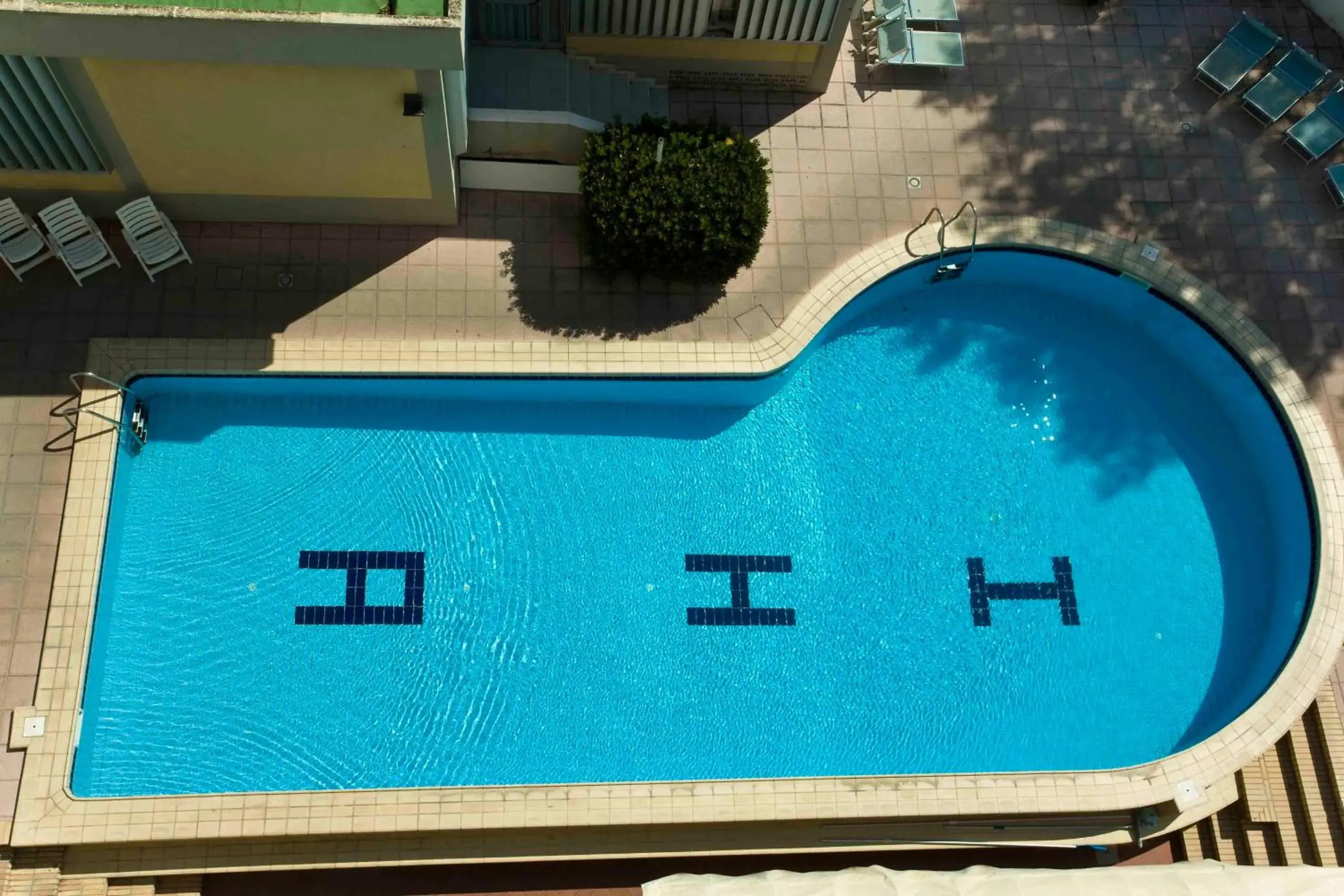 Swimming pool, Pool View in Hotel Alexander