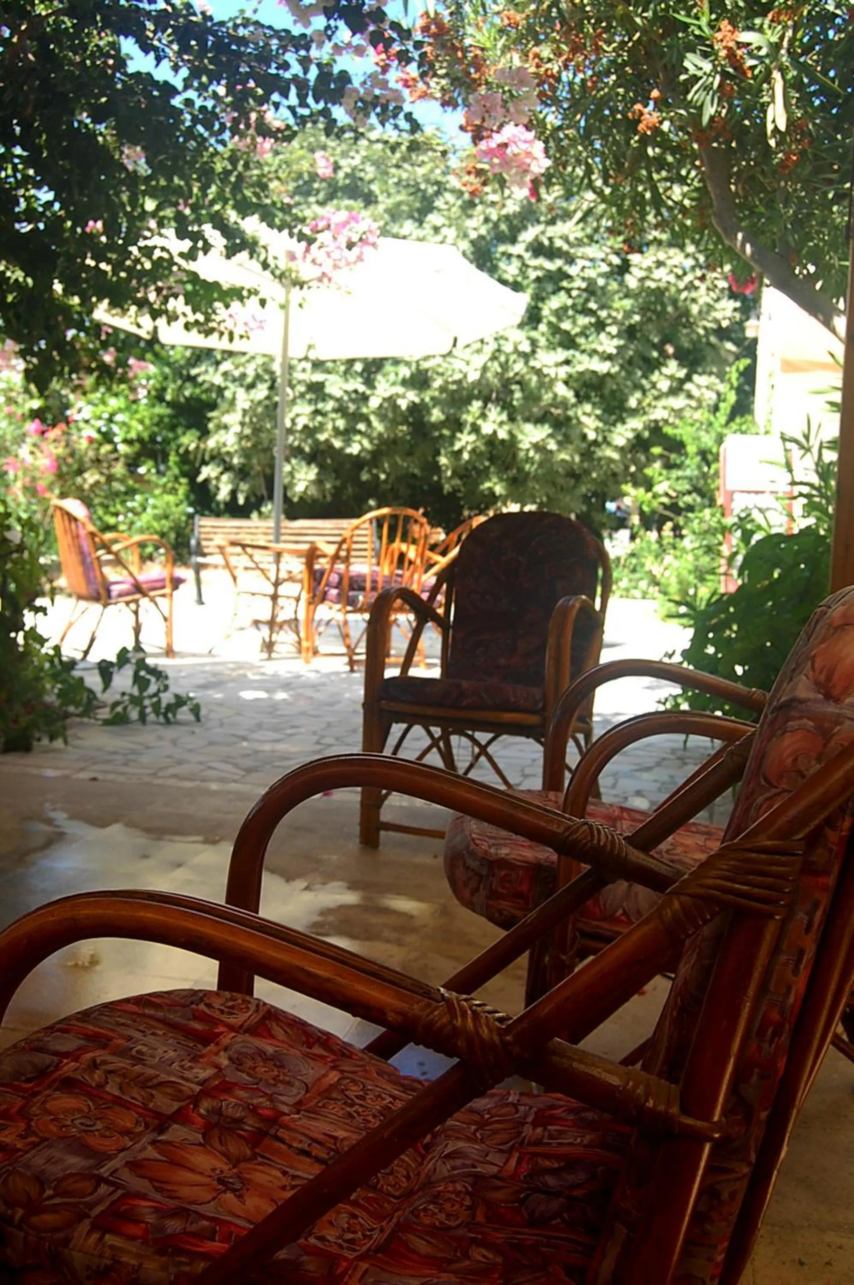 Restaurant/places to eat in Violetta Hotel