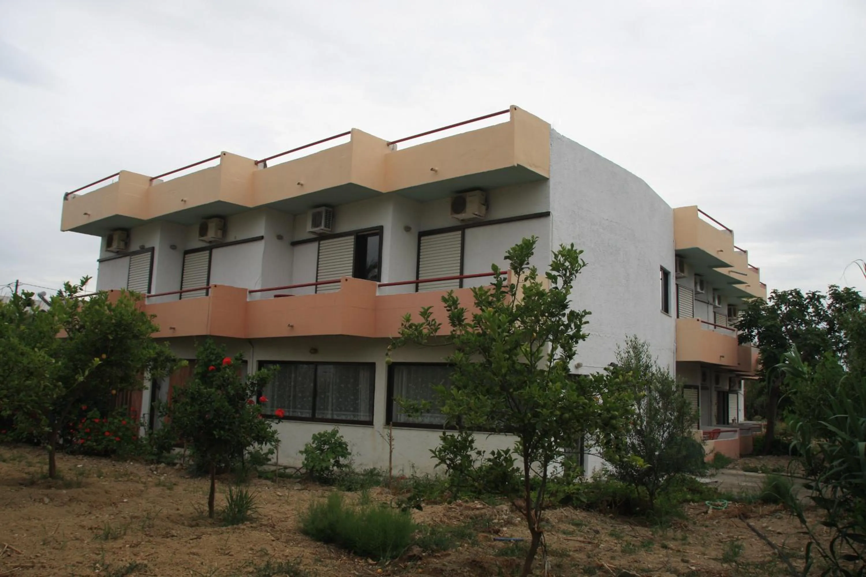 Spring in Violetta Hotel