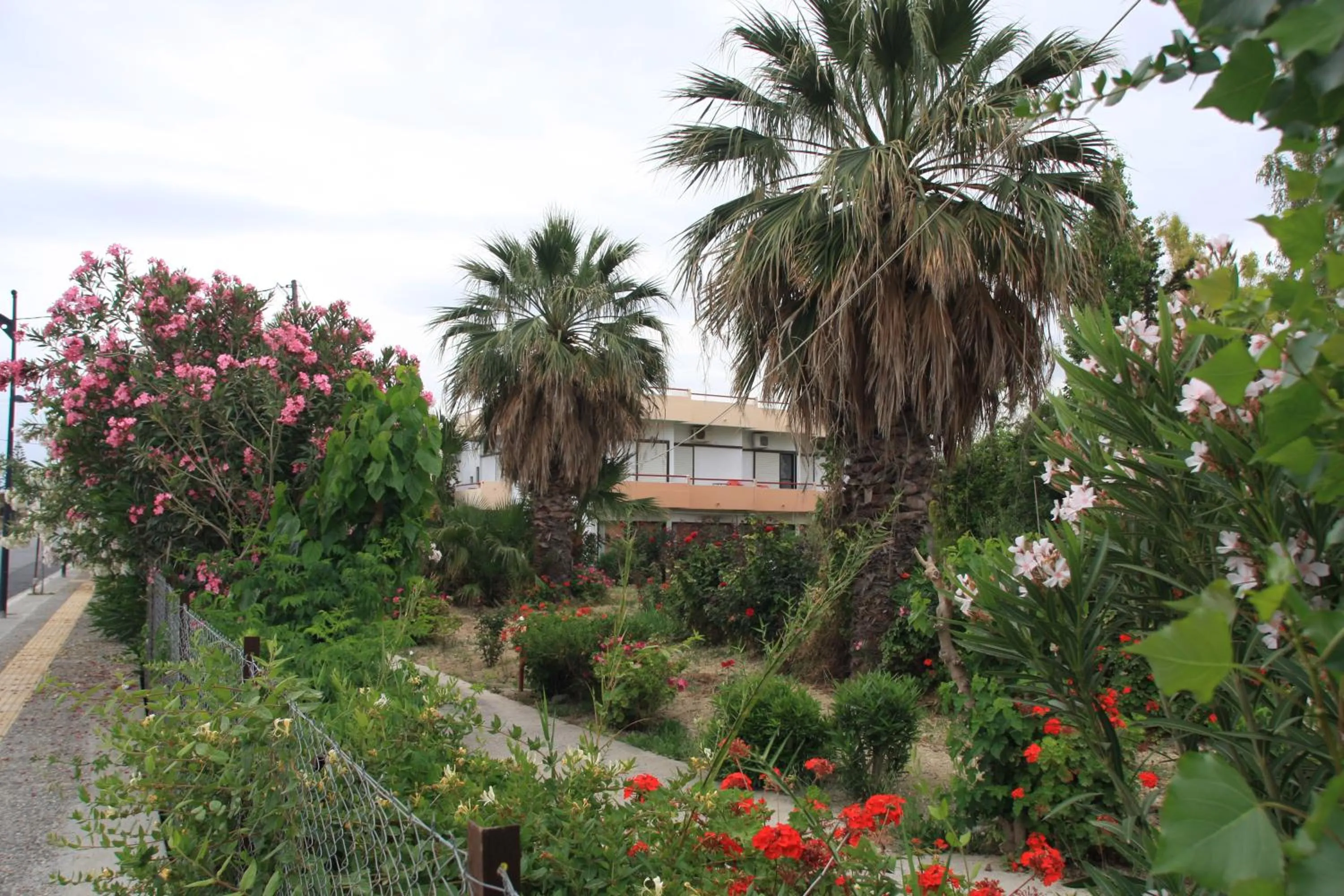 Landmark view in Violetta Hotel