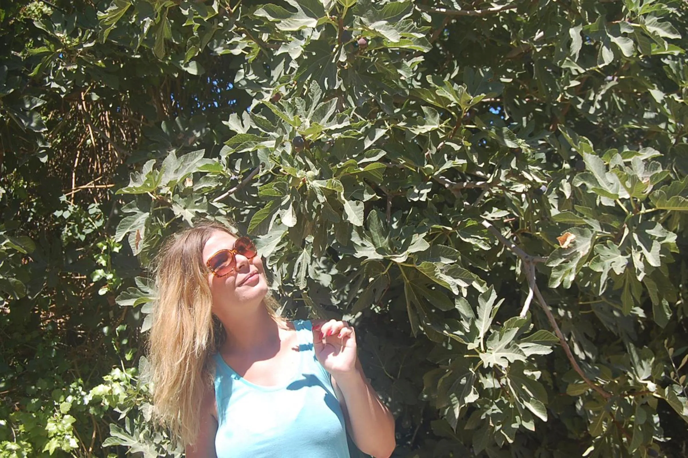 Garden in Violetta Hotel