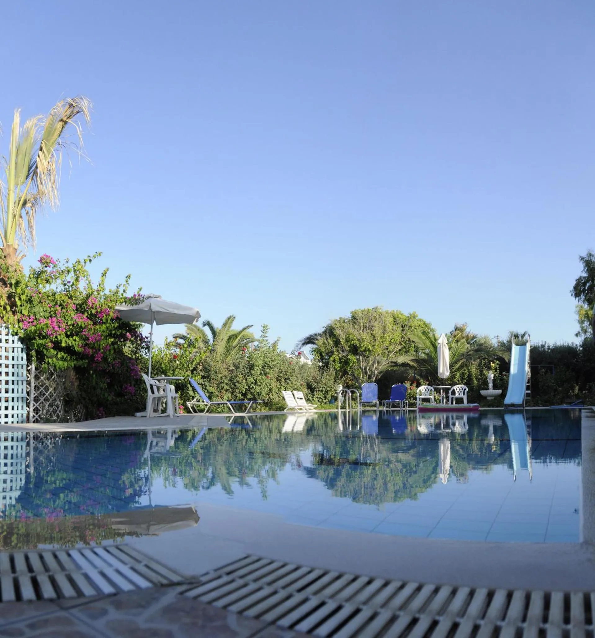Swimming pool in Violetta Hotel