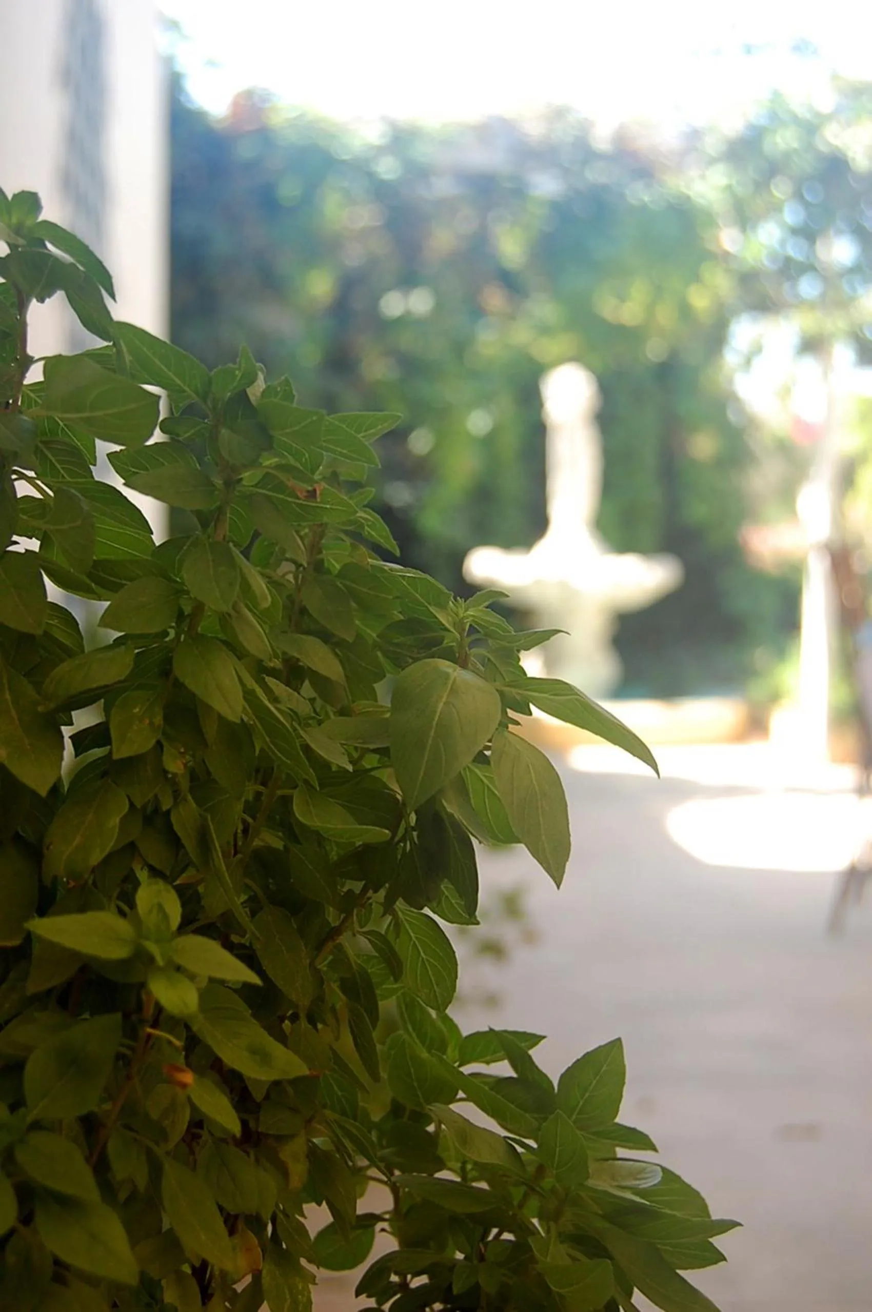 Restaurant/places to eat in Violetta Hotel