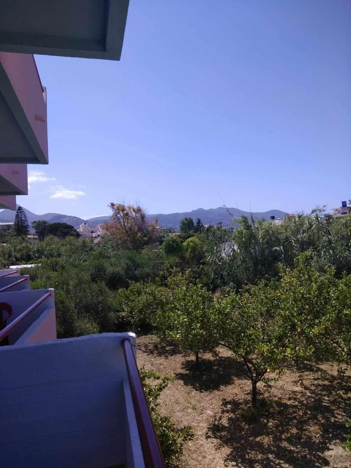 Garden view in Violetta Hotel