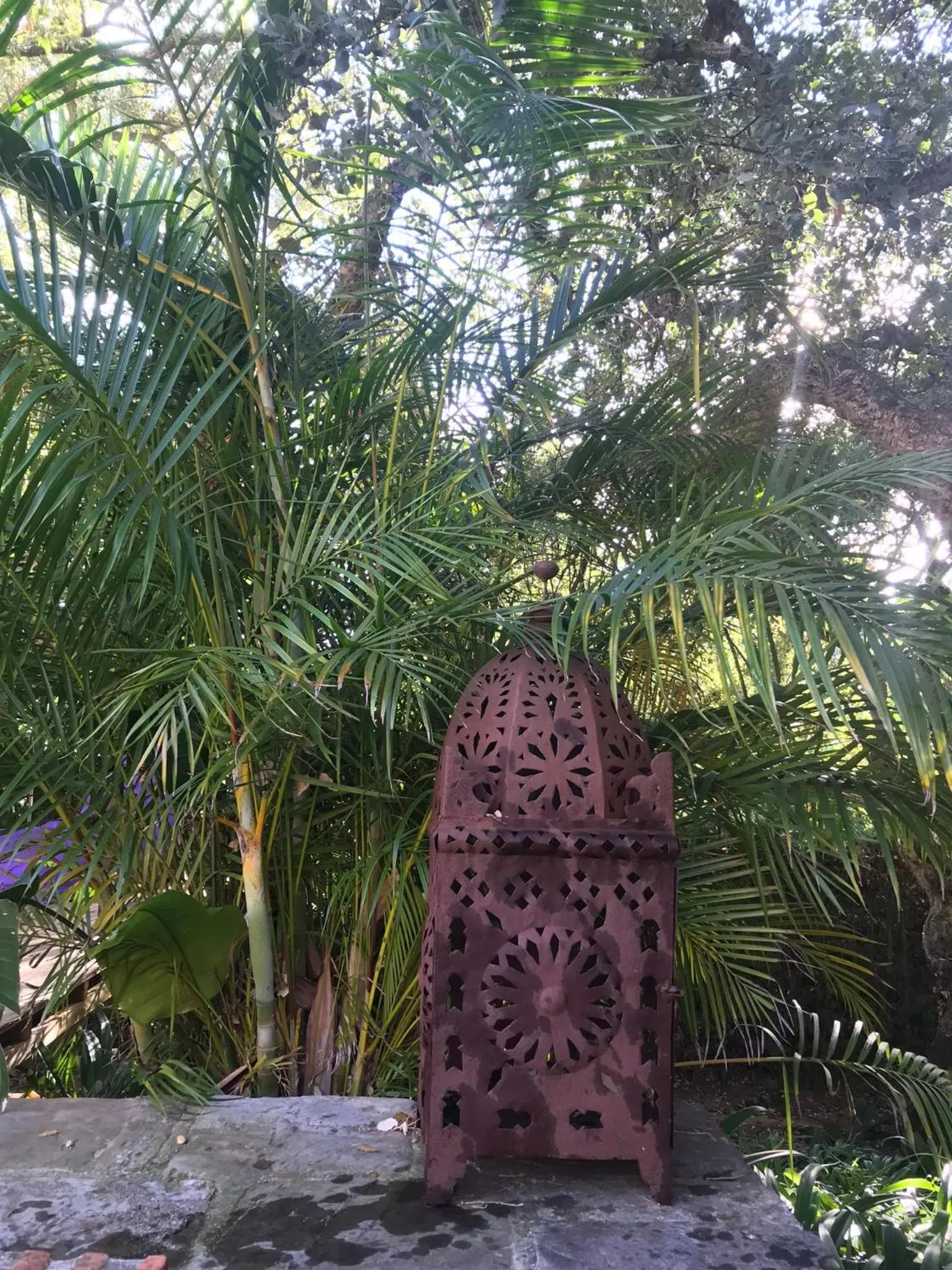 Property building in La Dulcinea