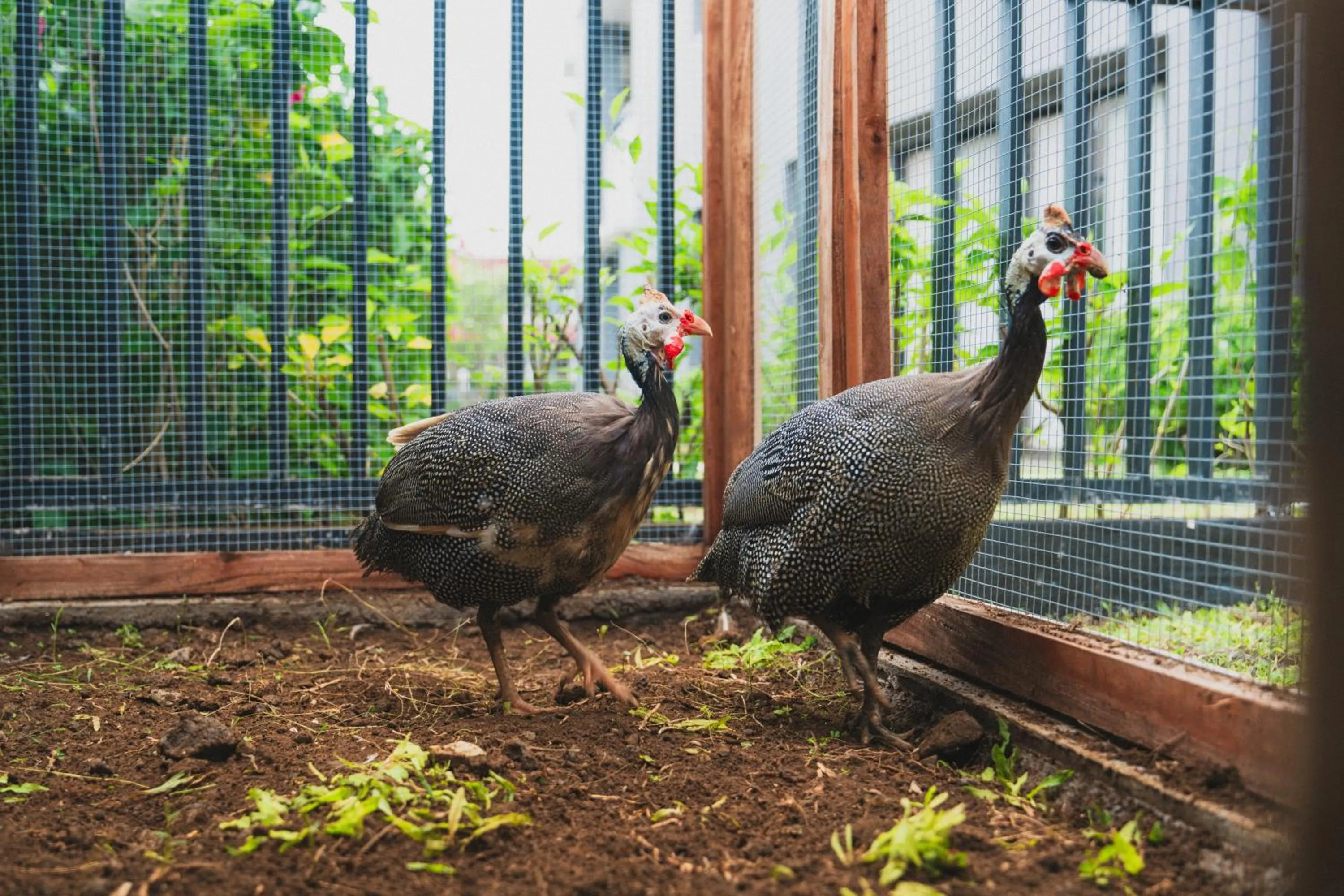 Activities in Pullman Bali Legian Beach