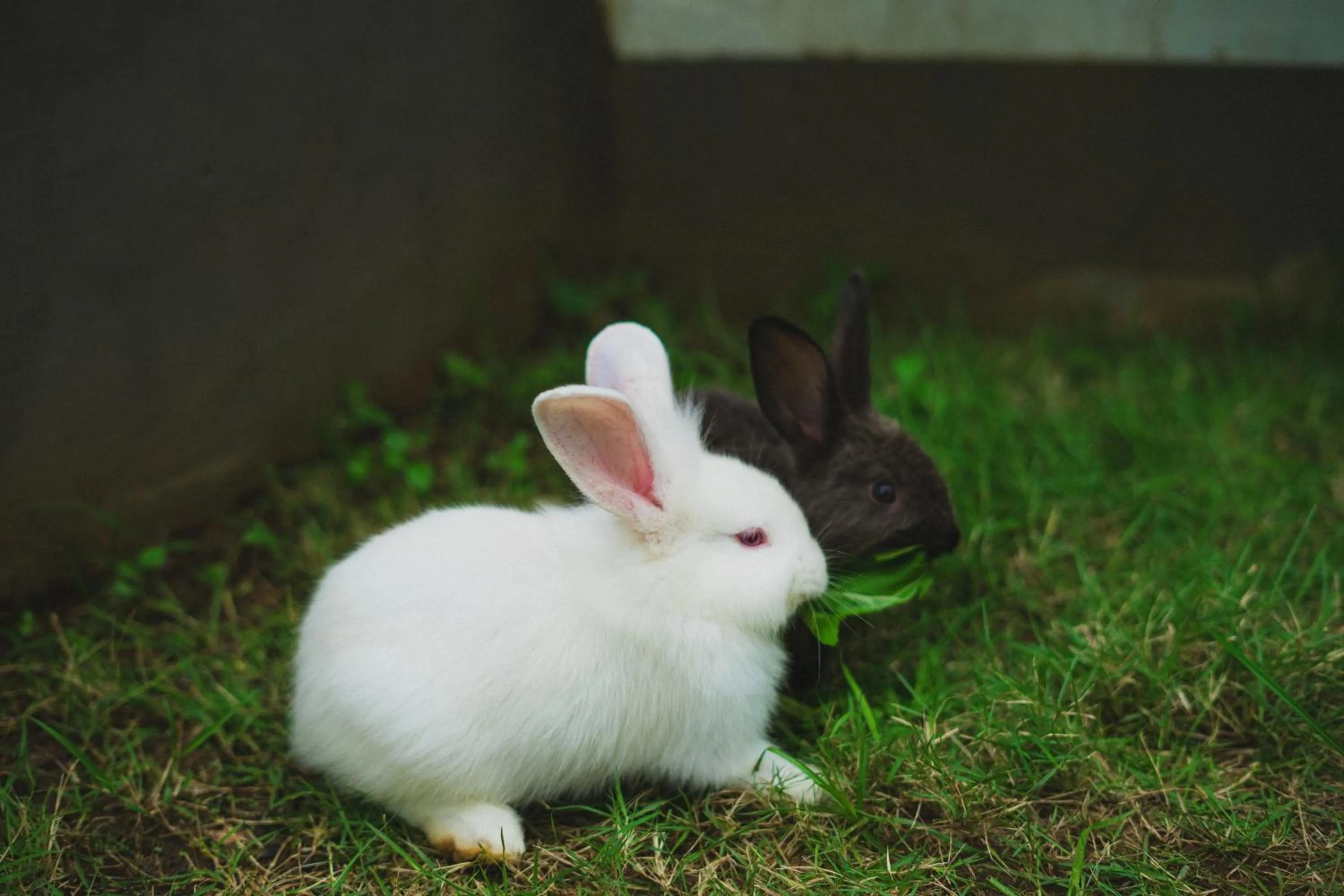 Activities in Pullman Bali Legian Beach