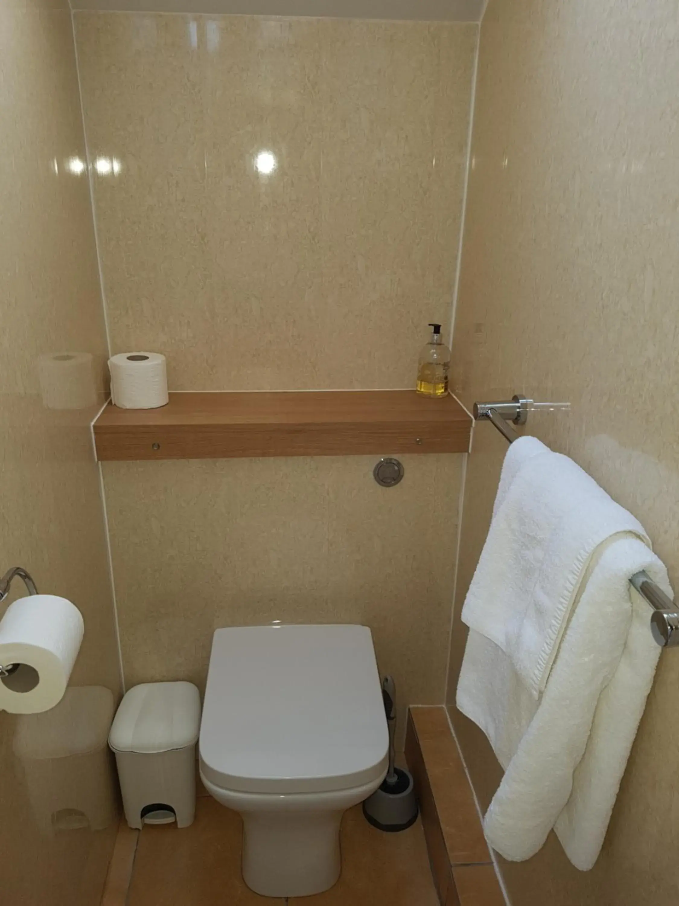 Toilet, Bathroom in Ardshiel Hotel