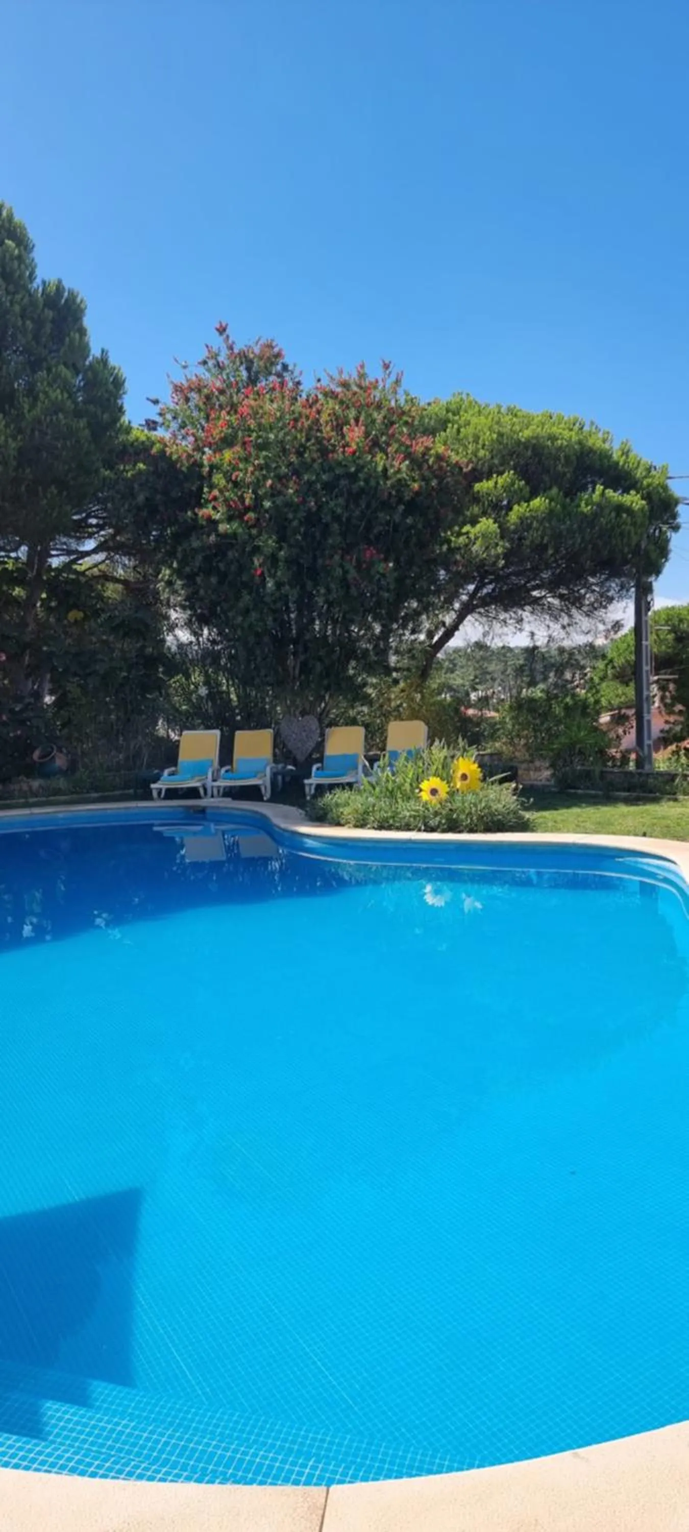 Pool view in Vila De Sol