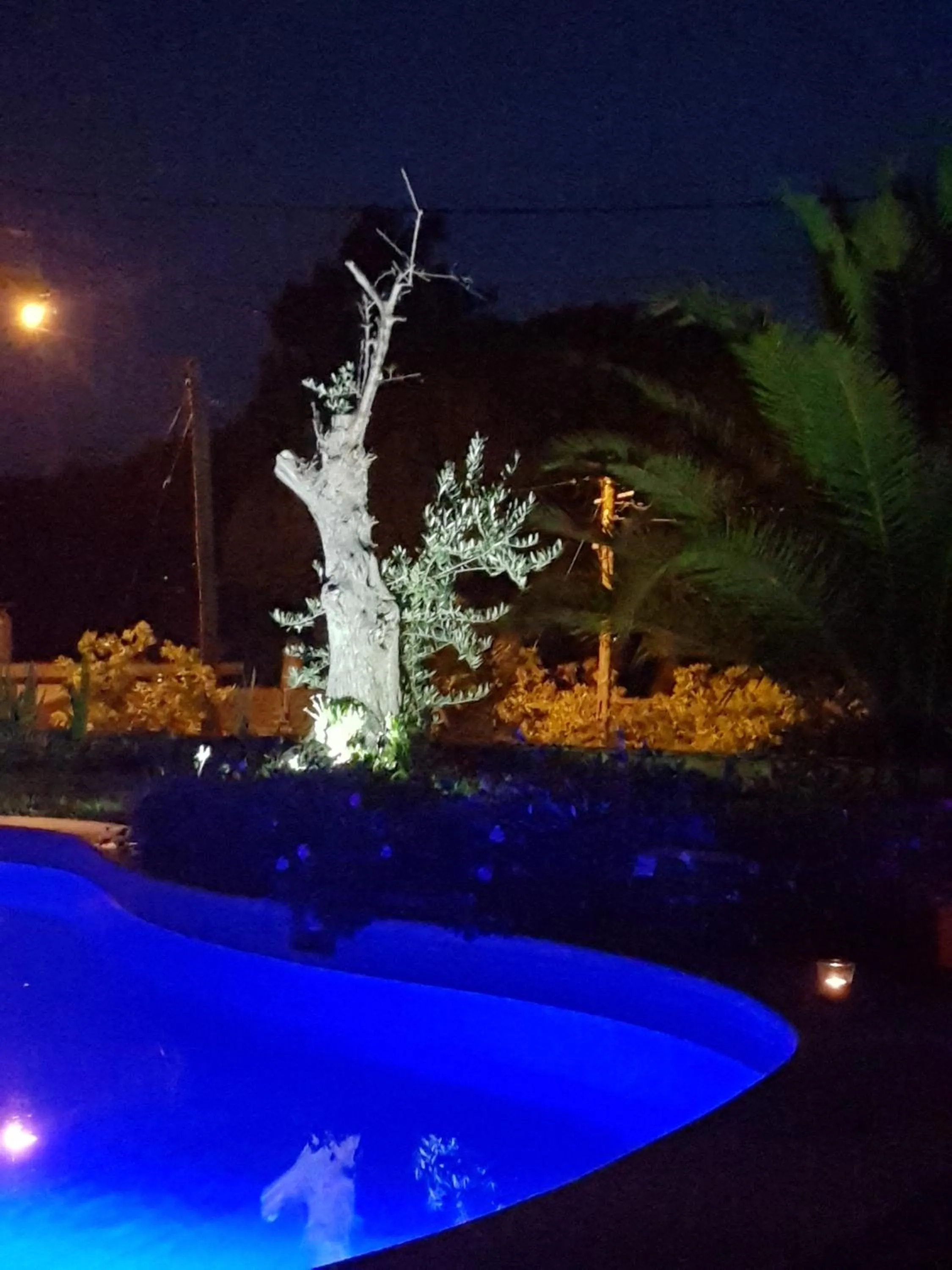 Pool view in Vila De Sol