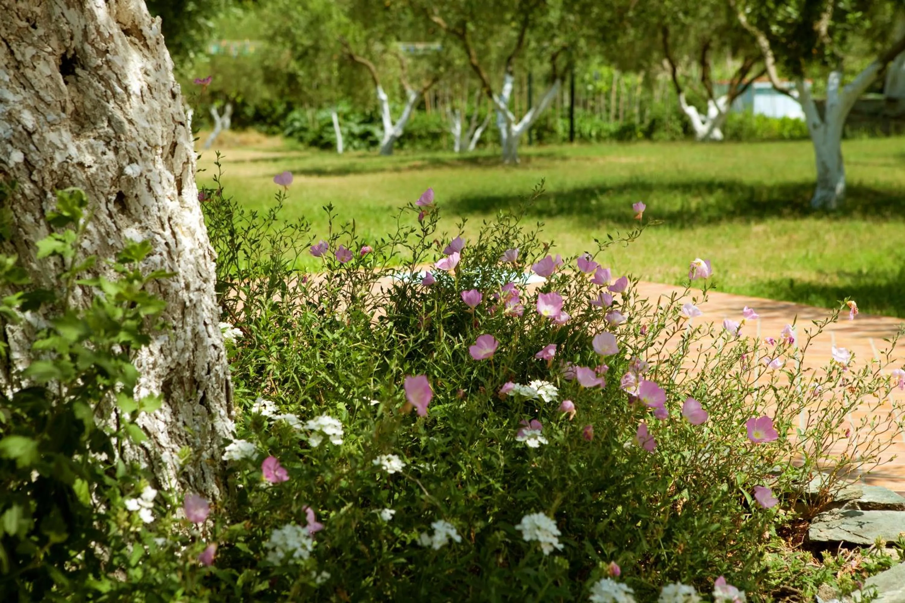 Facade/entrance in Haus Risos Next Generation