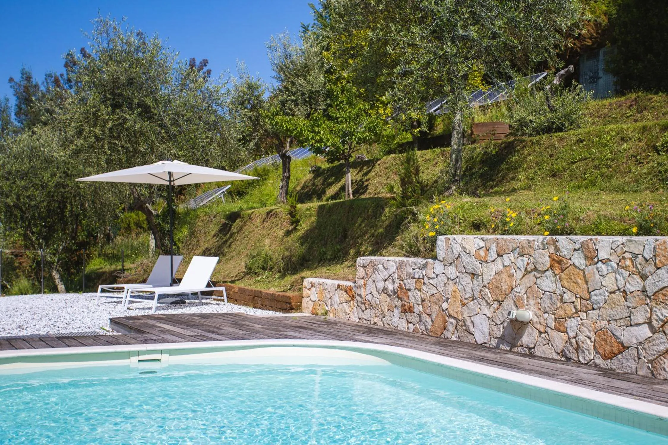 Pool view in Villa Borgovecchio B&B