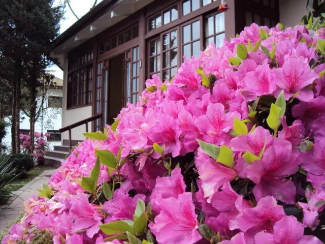 Facade/entrance in Pousada Gardenia Guest House