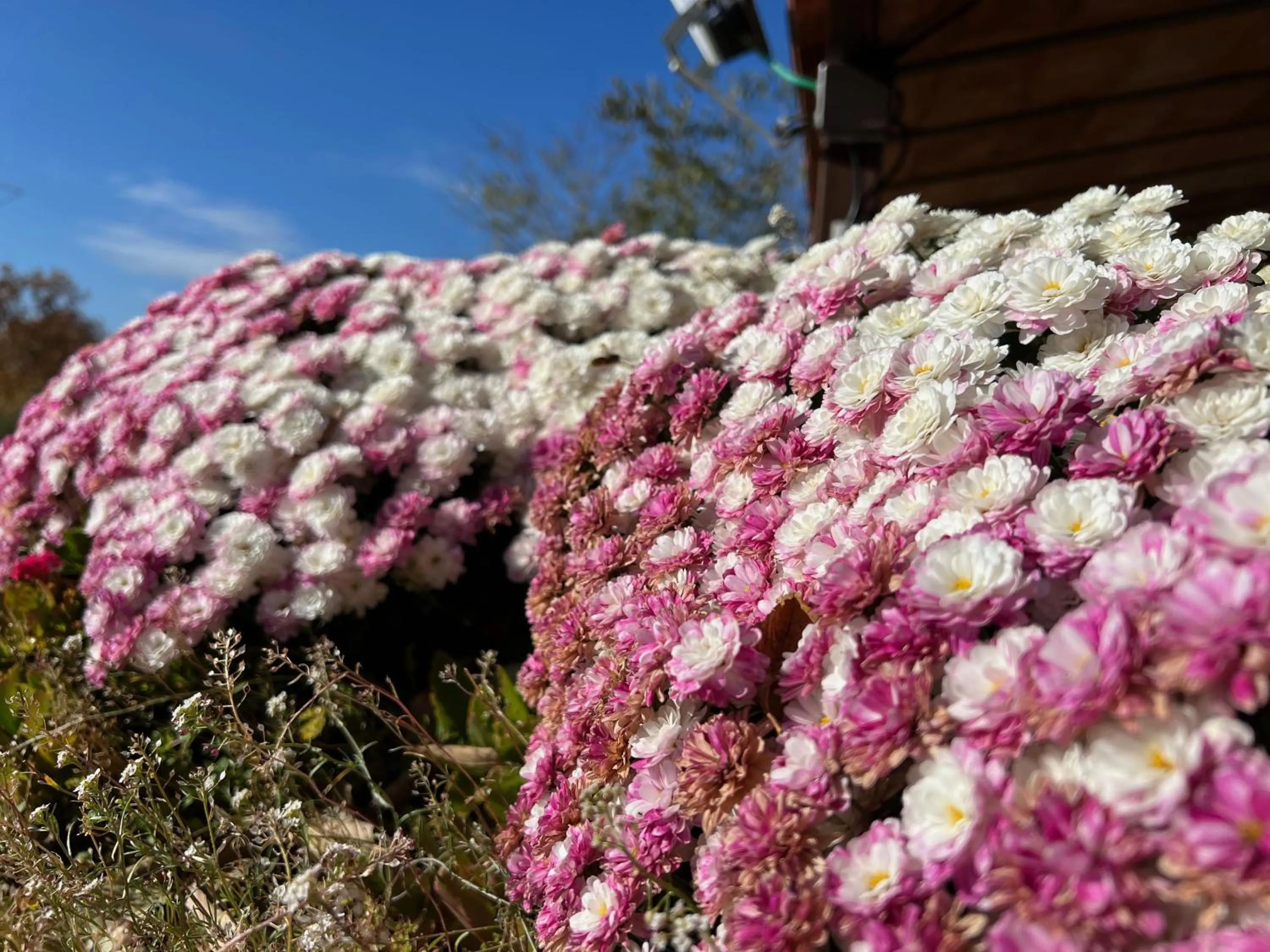 Les Vinyes Alojamiento Rural Boutique & SPA