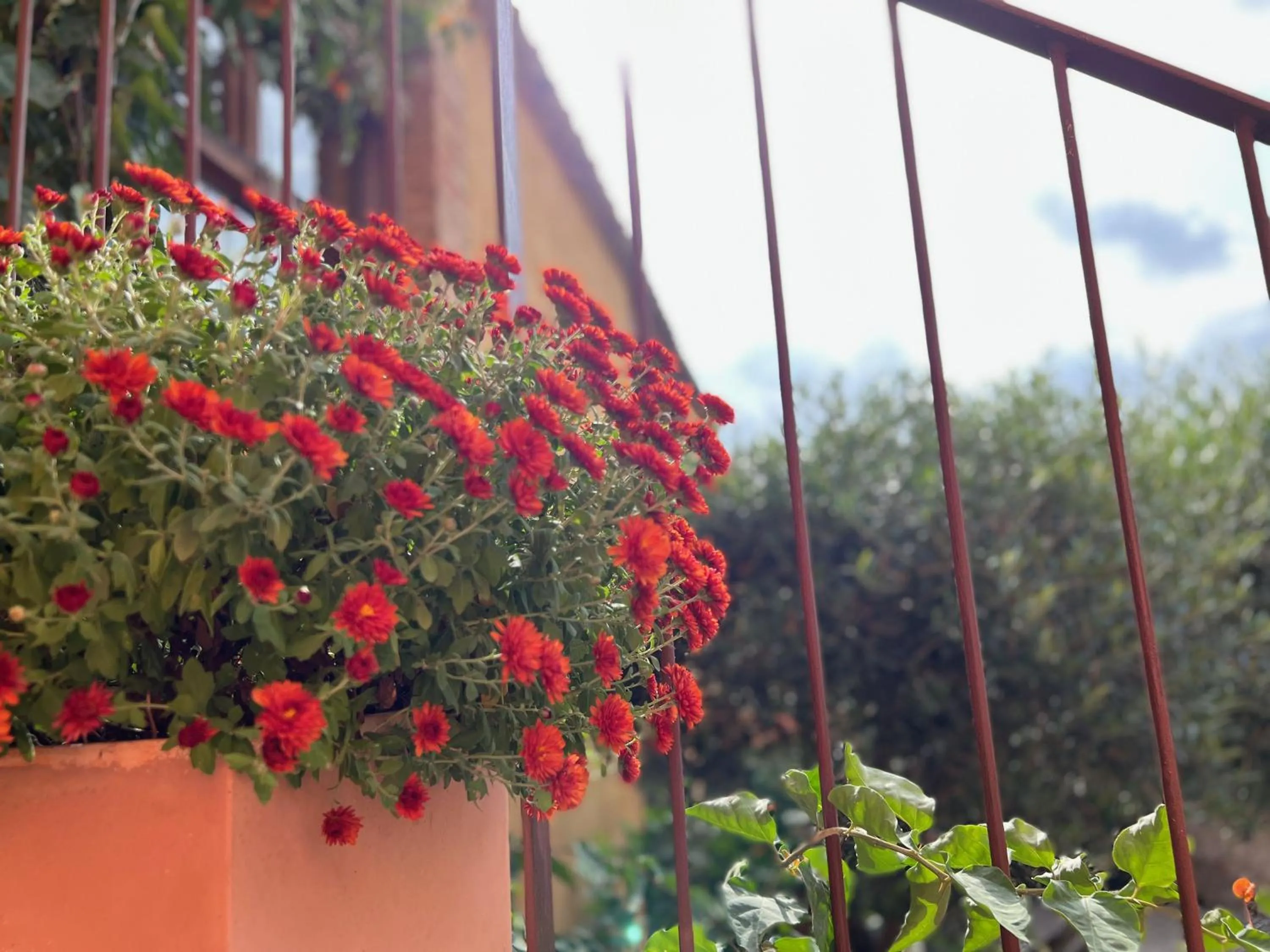 Les Vinyes Alojamiento Rural Boutique & SPA