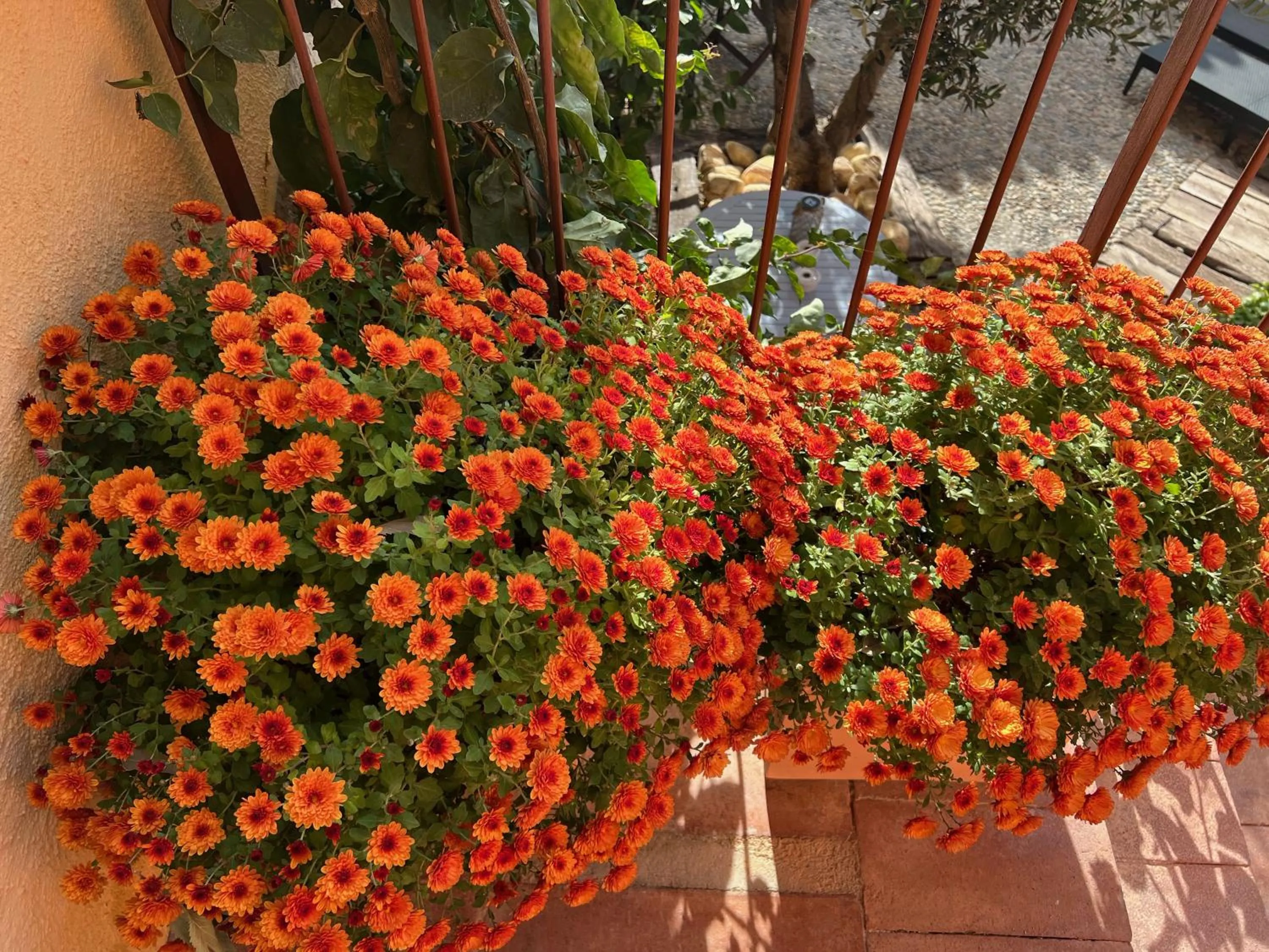 Les Vinyes Alojamiento Rural Boutique & SPA