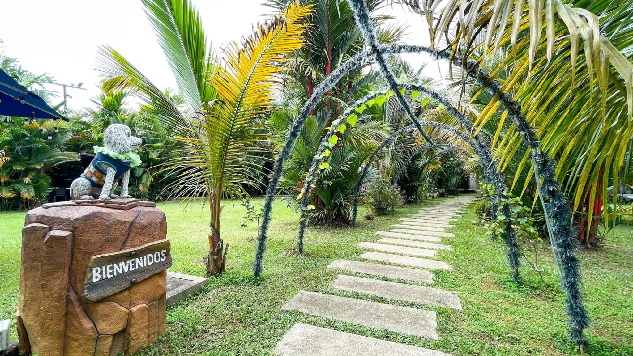 Garden in Hotel Playa Maui