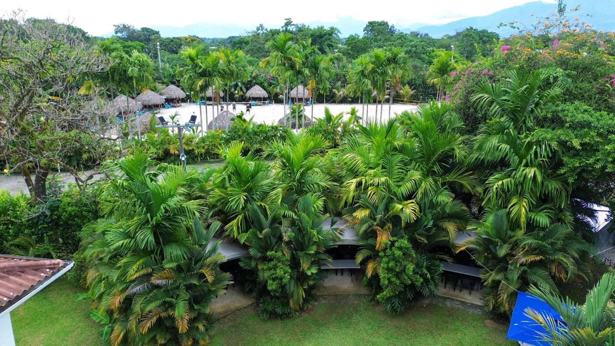 Garden in Hotel Playa Maui