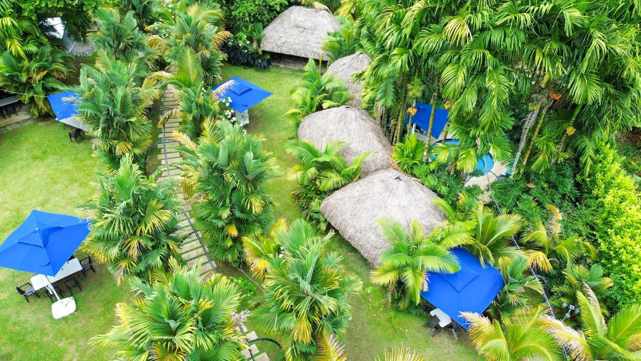 Garden in Hotel Playa Maui