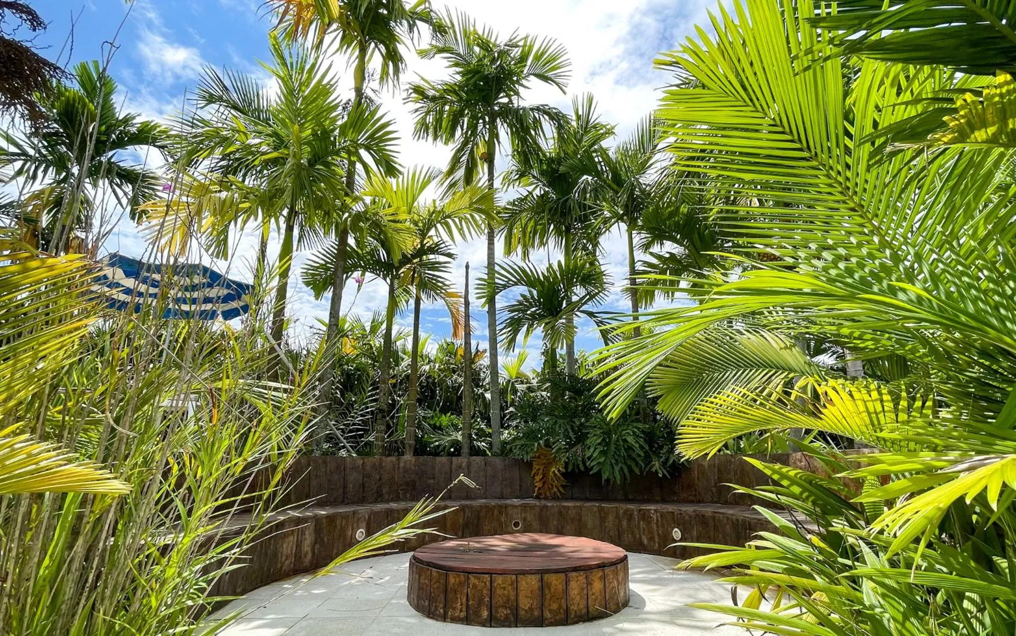 Garden in Hotel Playa Maui