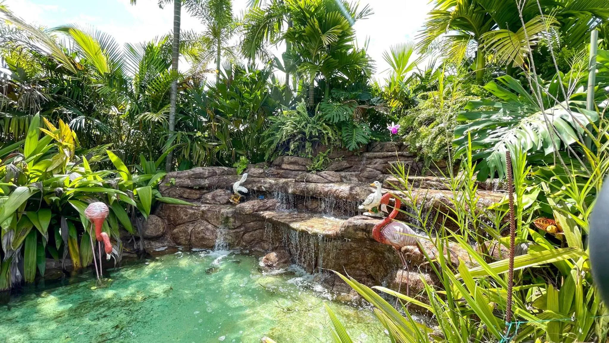 Hotel Playa Maui