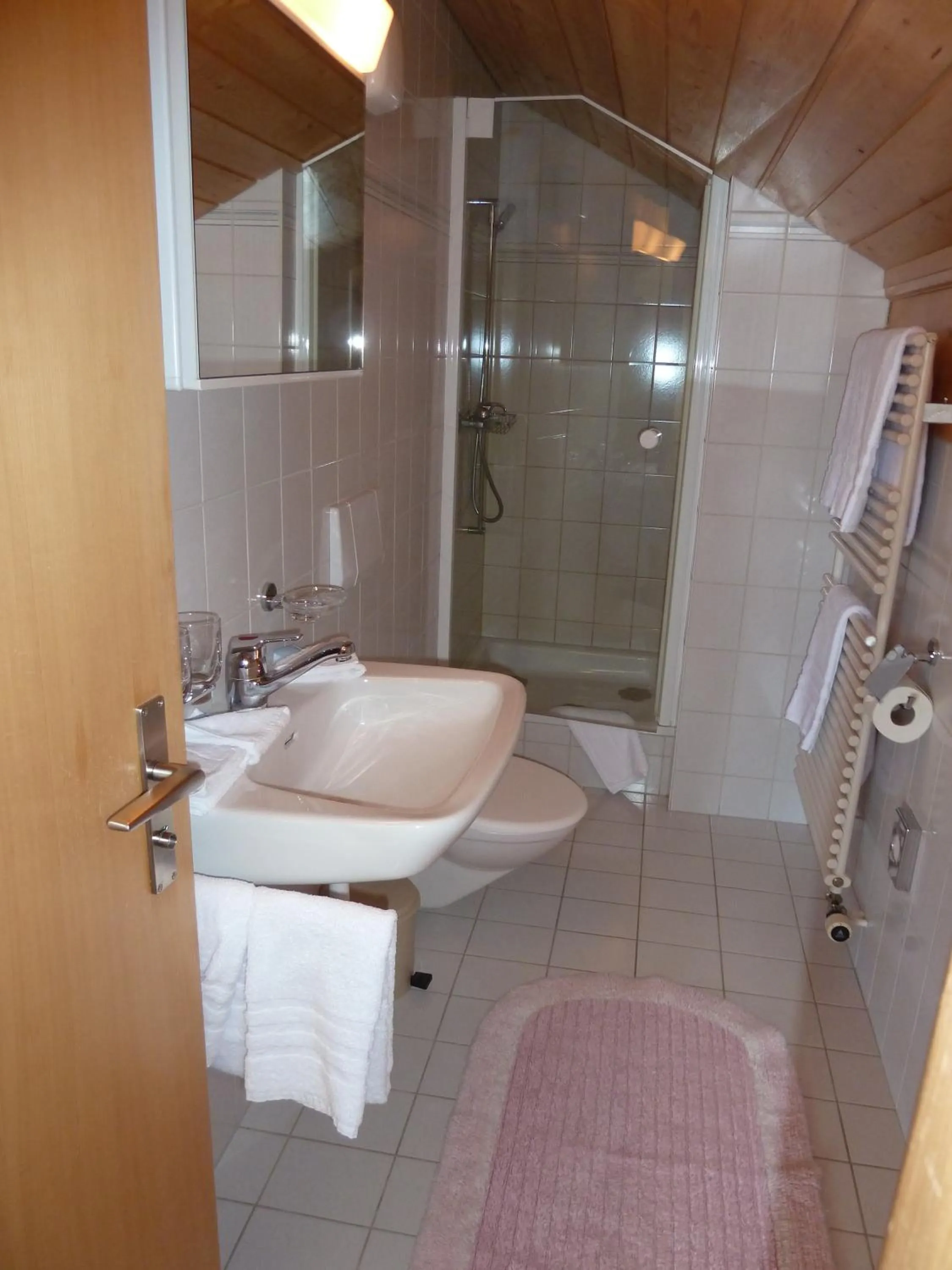 Bathroom in Berghaus Männlichen