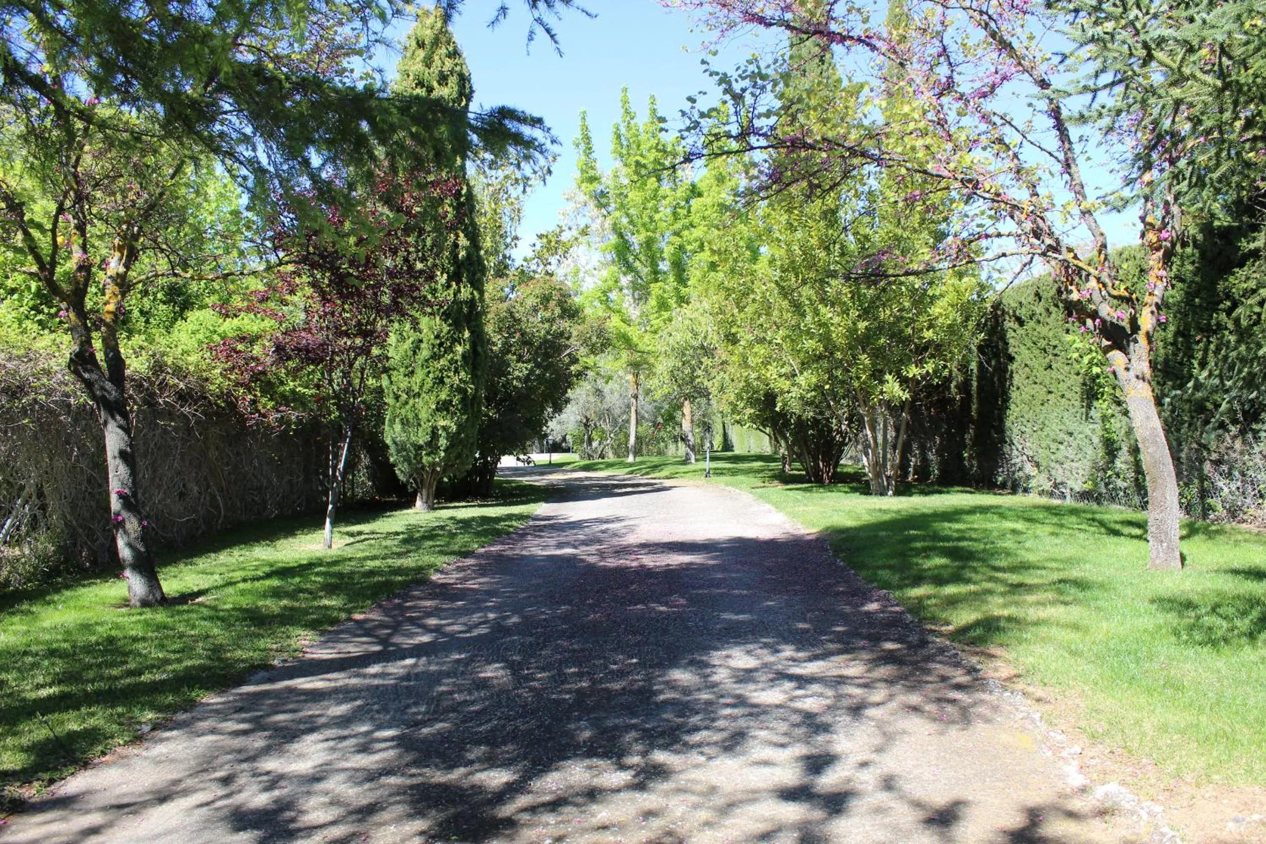 Natural landscape in Los Picachos 10