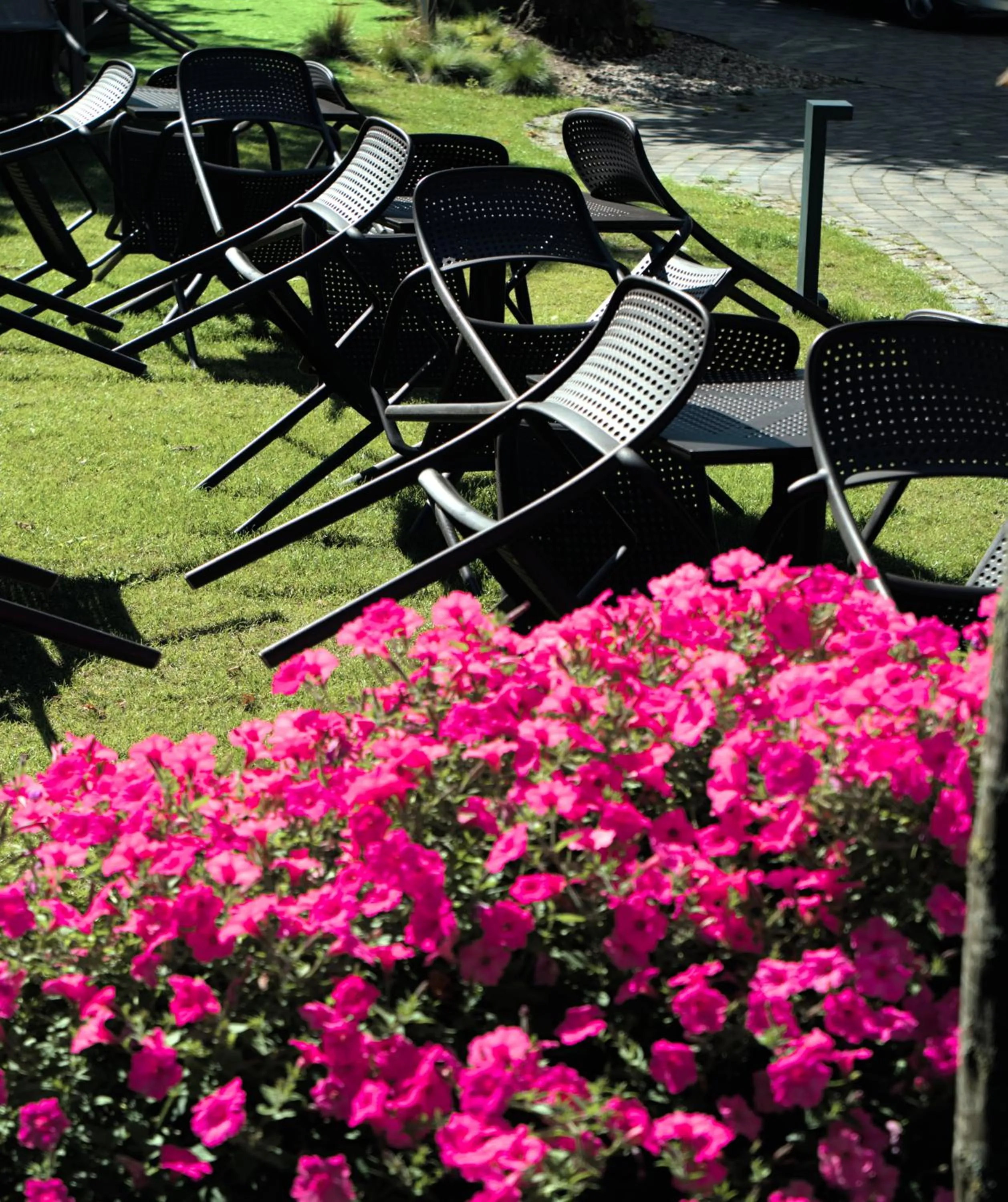 Garden in Hotel Eureka